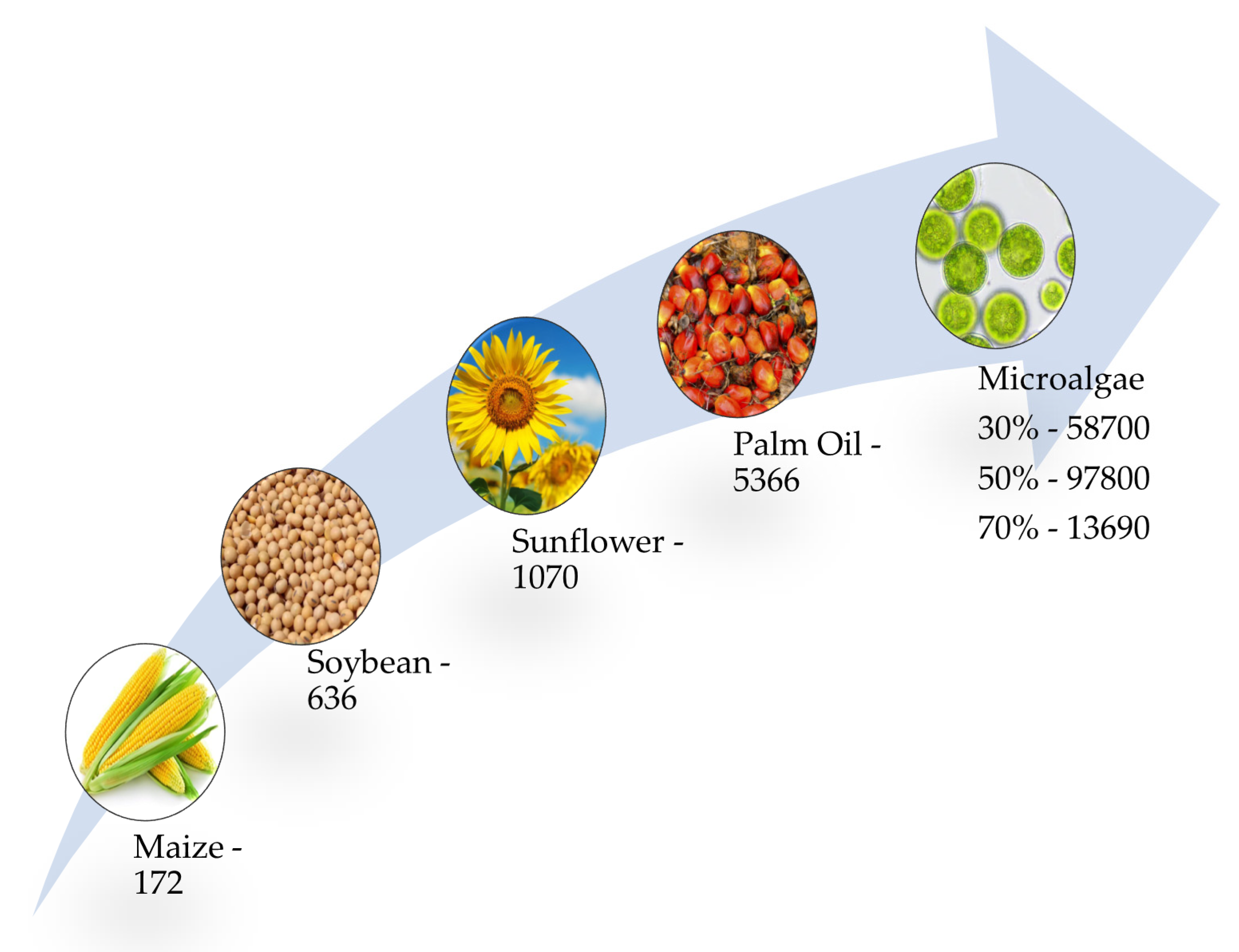 Sustainability 13 12374 g013