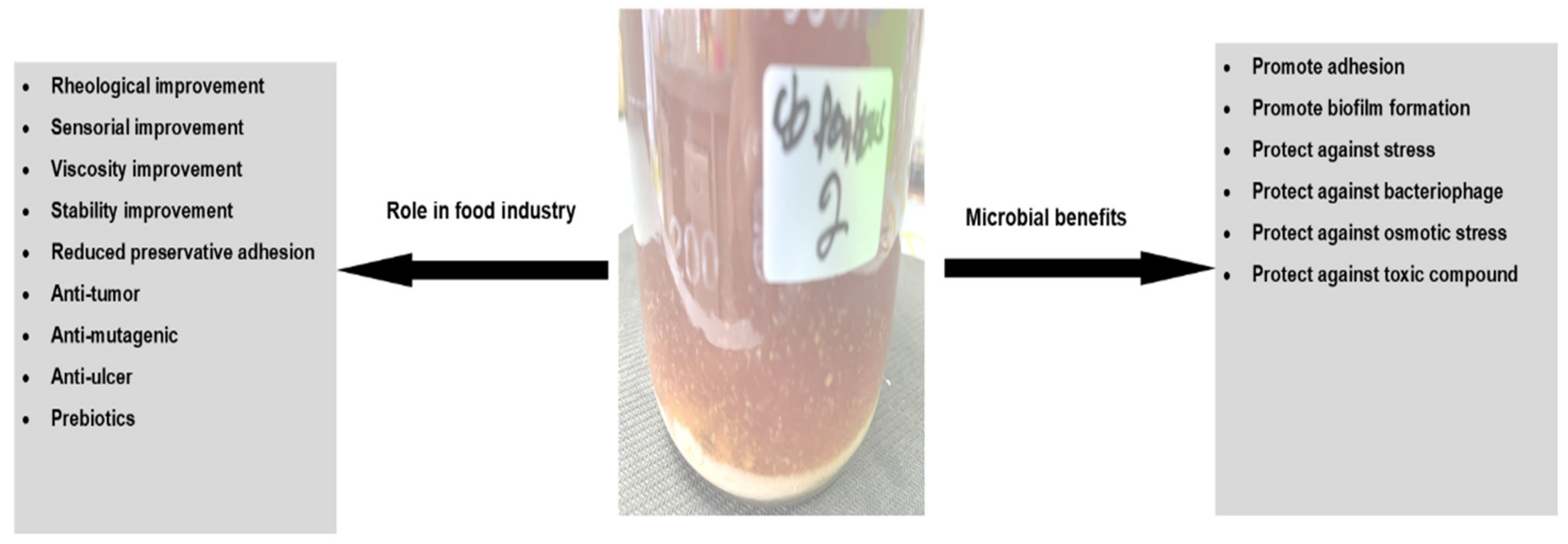 Sustainability 13 12429 g003
