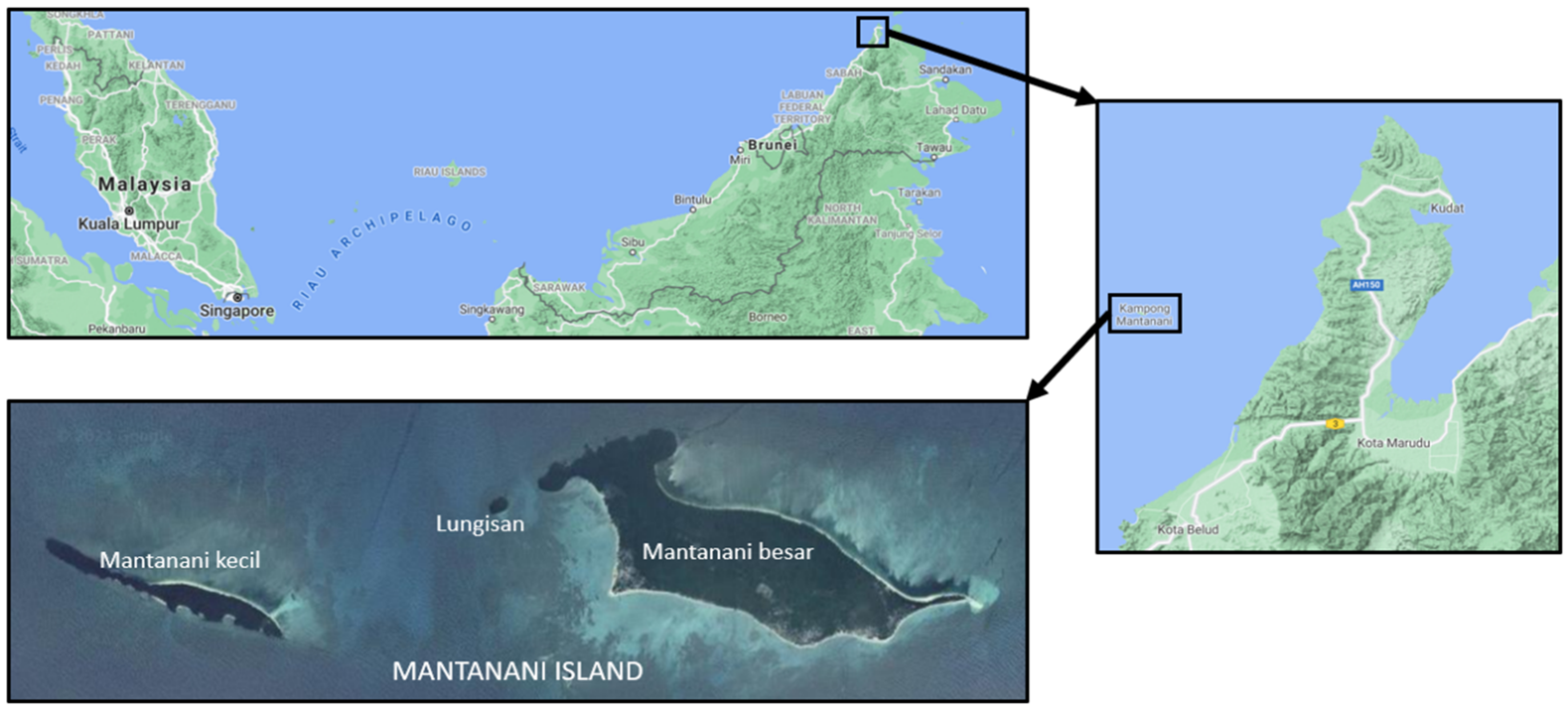 Sustainability 13 12432 g002