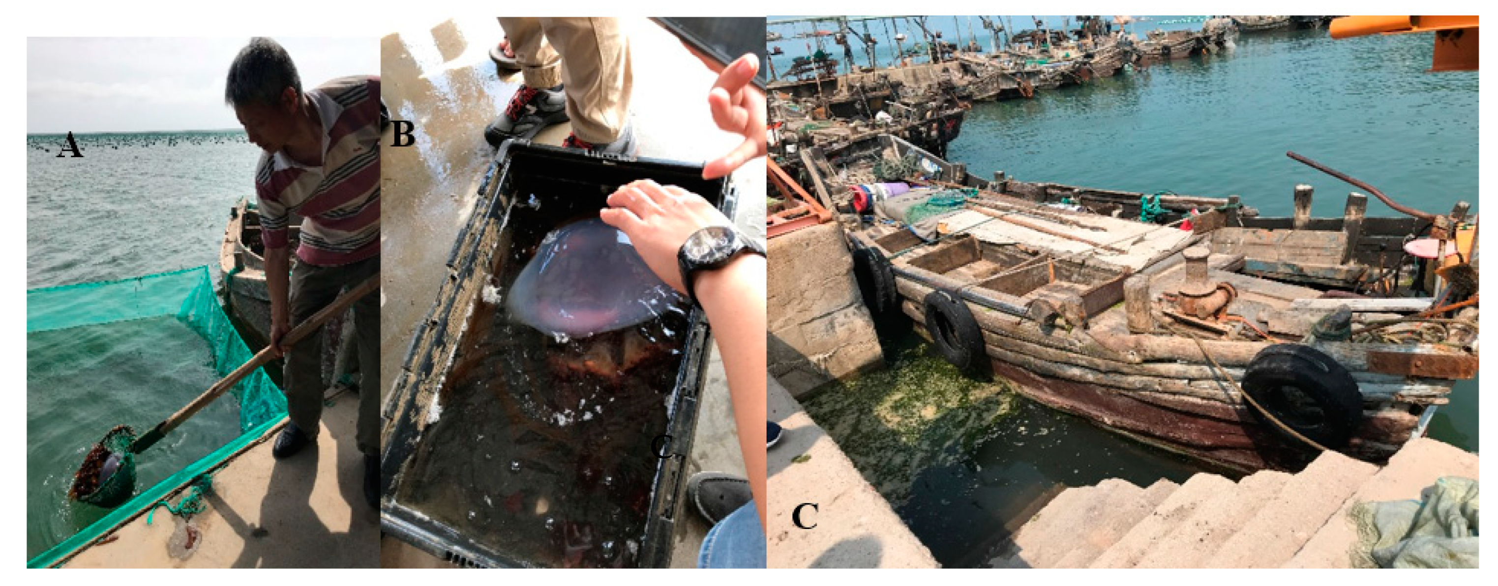 Sustainability 13 12445 g004