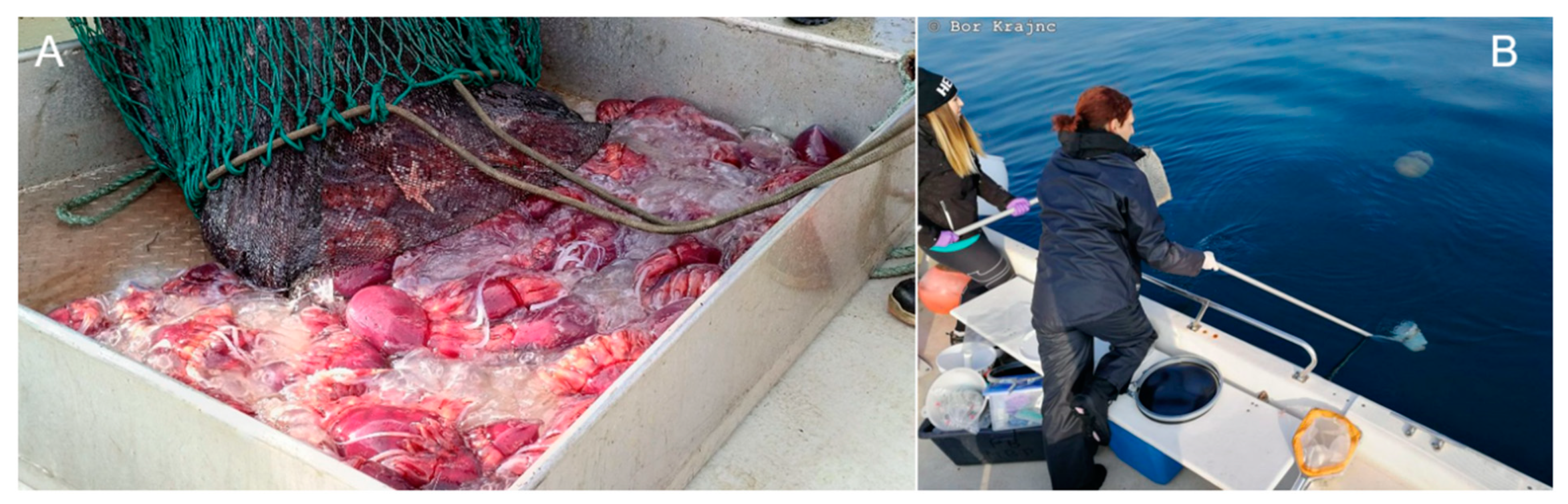 Sustainability 13 12445 g006