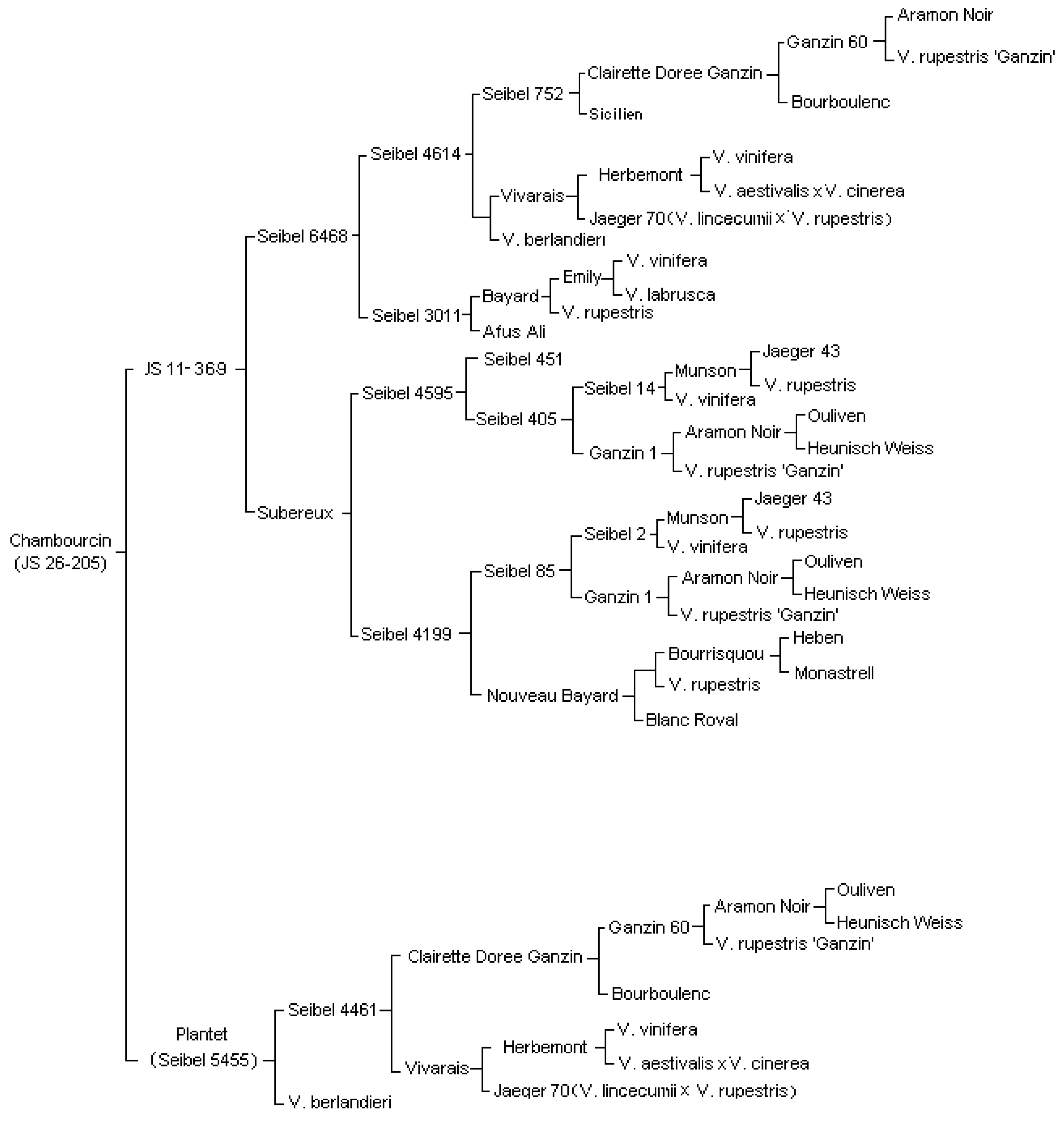 Sustainability 13 12472 g002