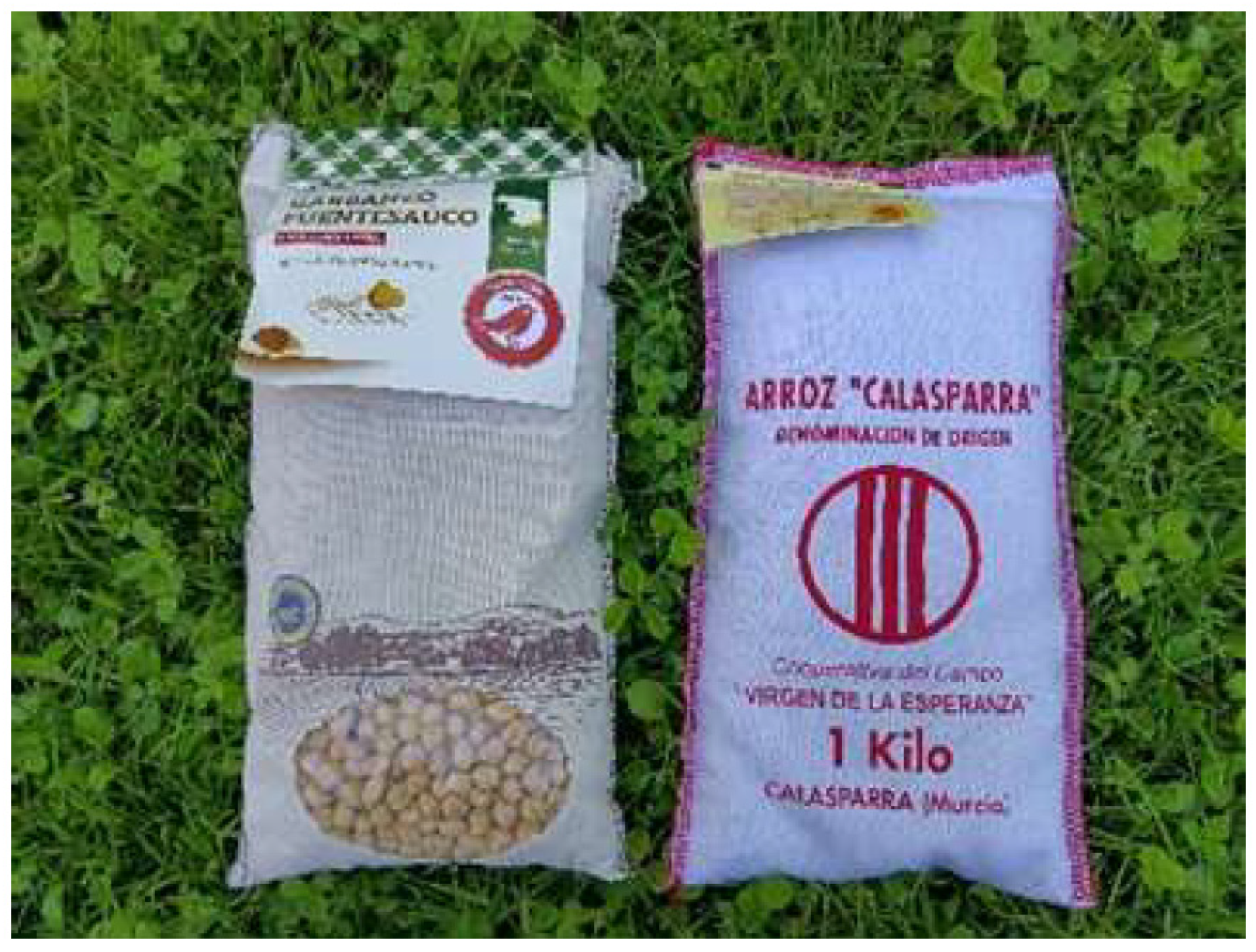 Sustainability 13 12577 g005