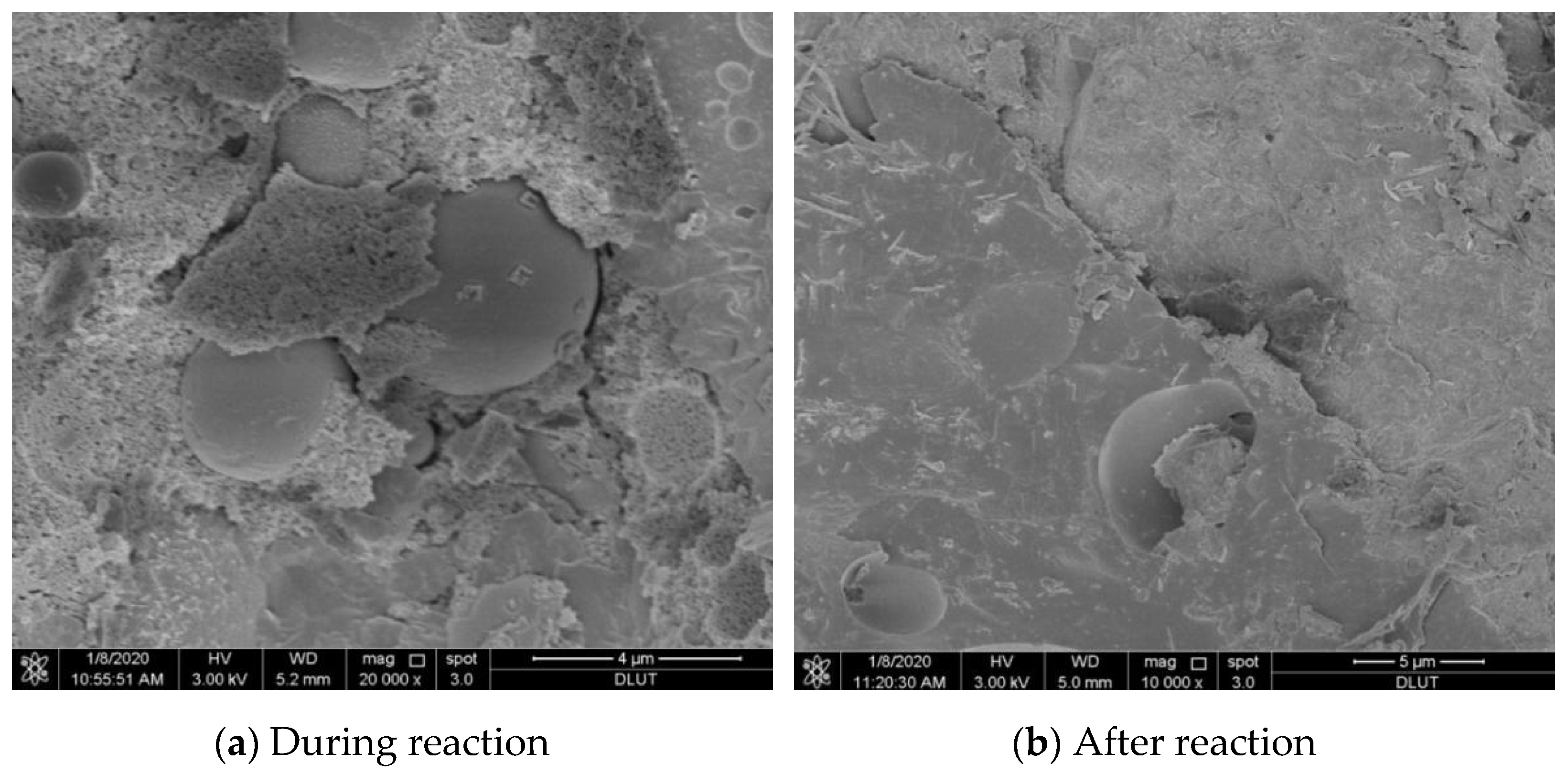 Sustainability 13 12621 g007