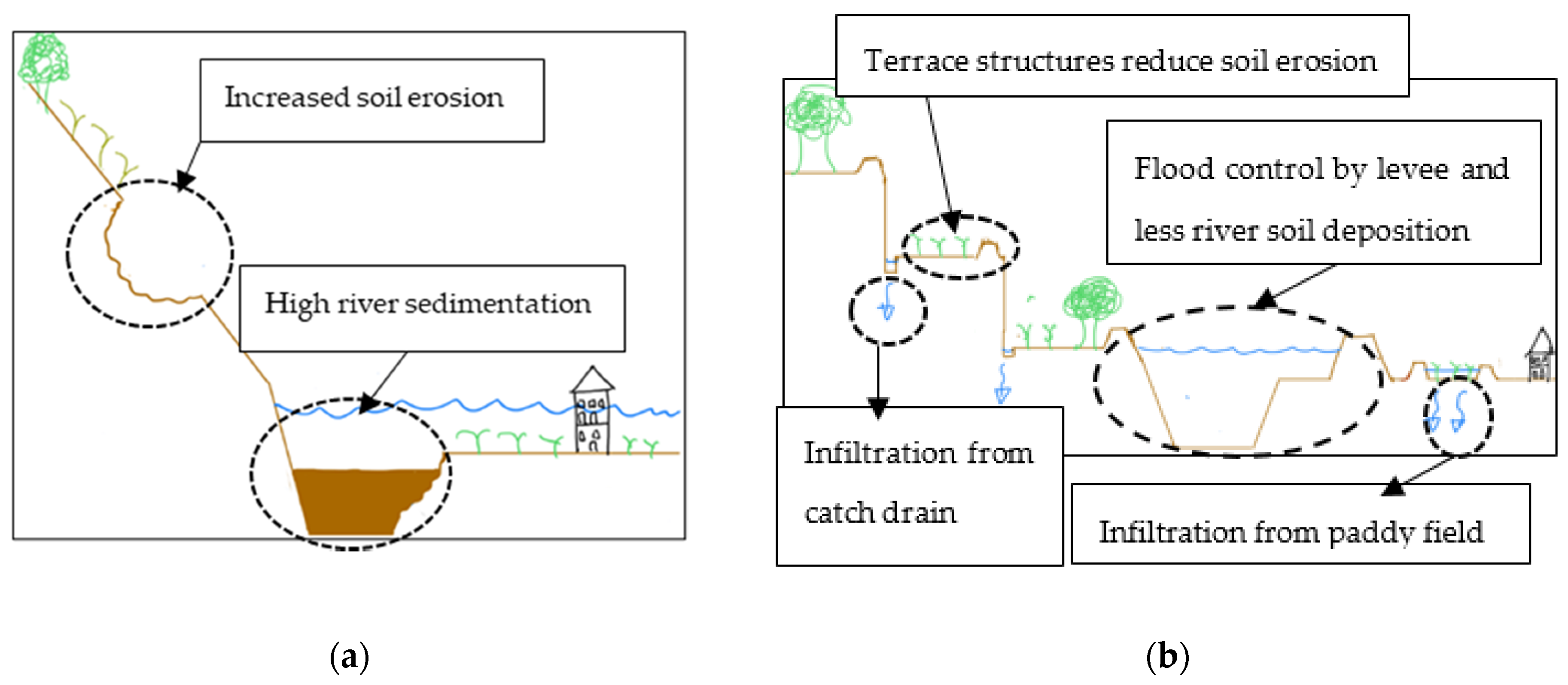 Sustainability 13 12624 g001