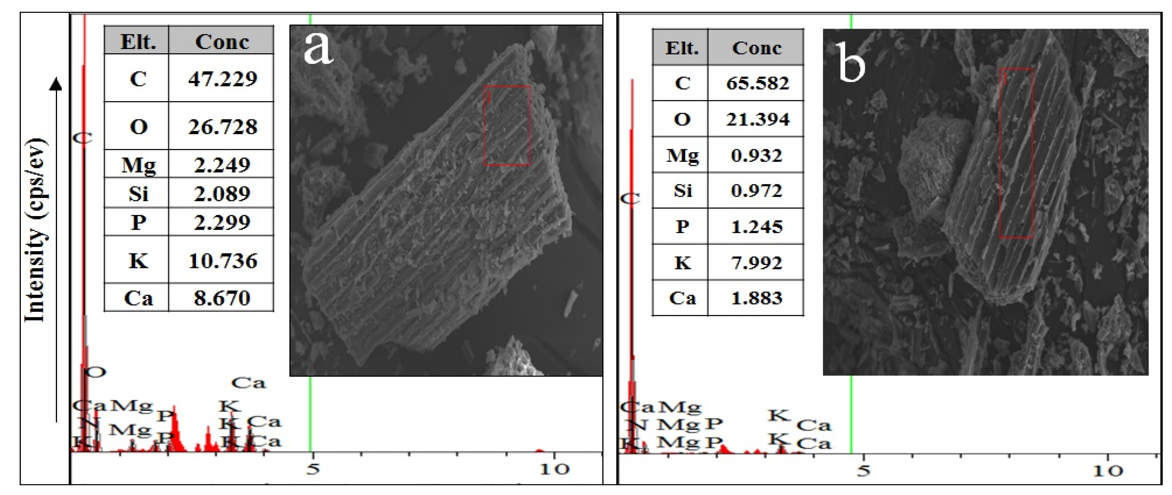 Sustainability 13 12742 g001