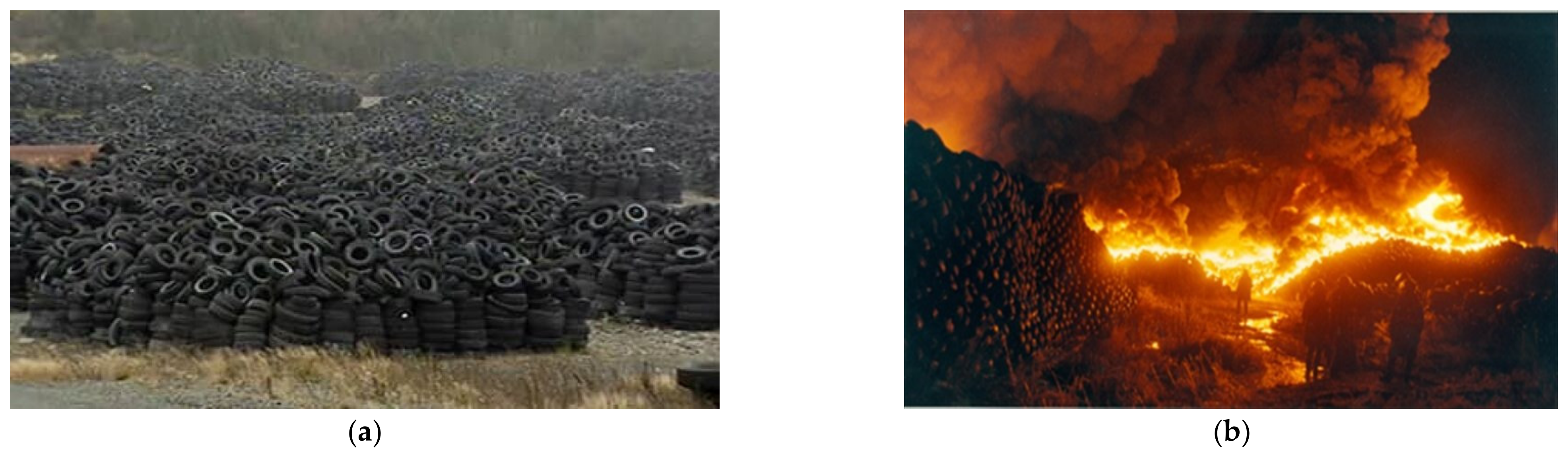 Sustainability 13 12756 g001