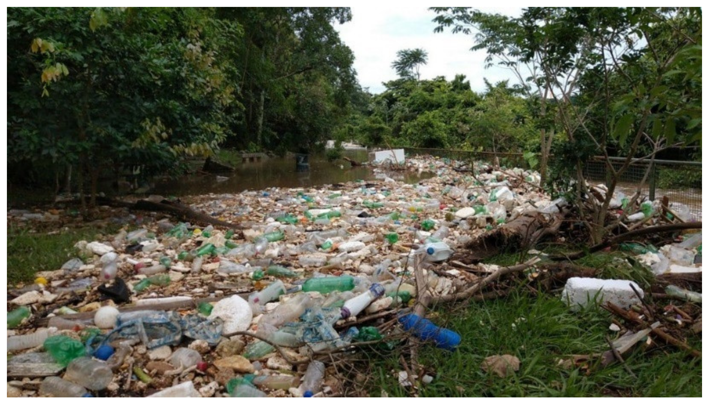 Sustainability 13 12756 g002