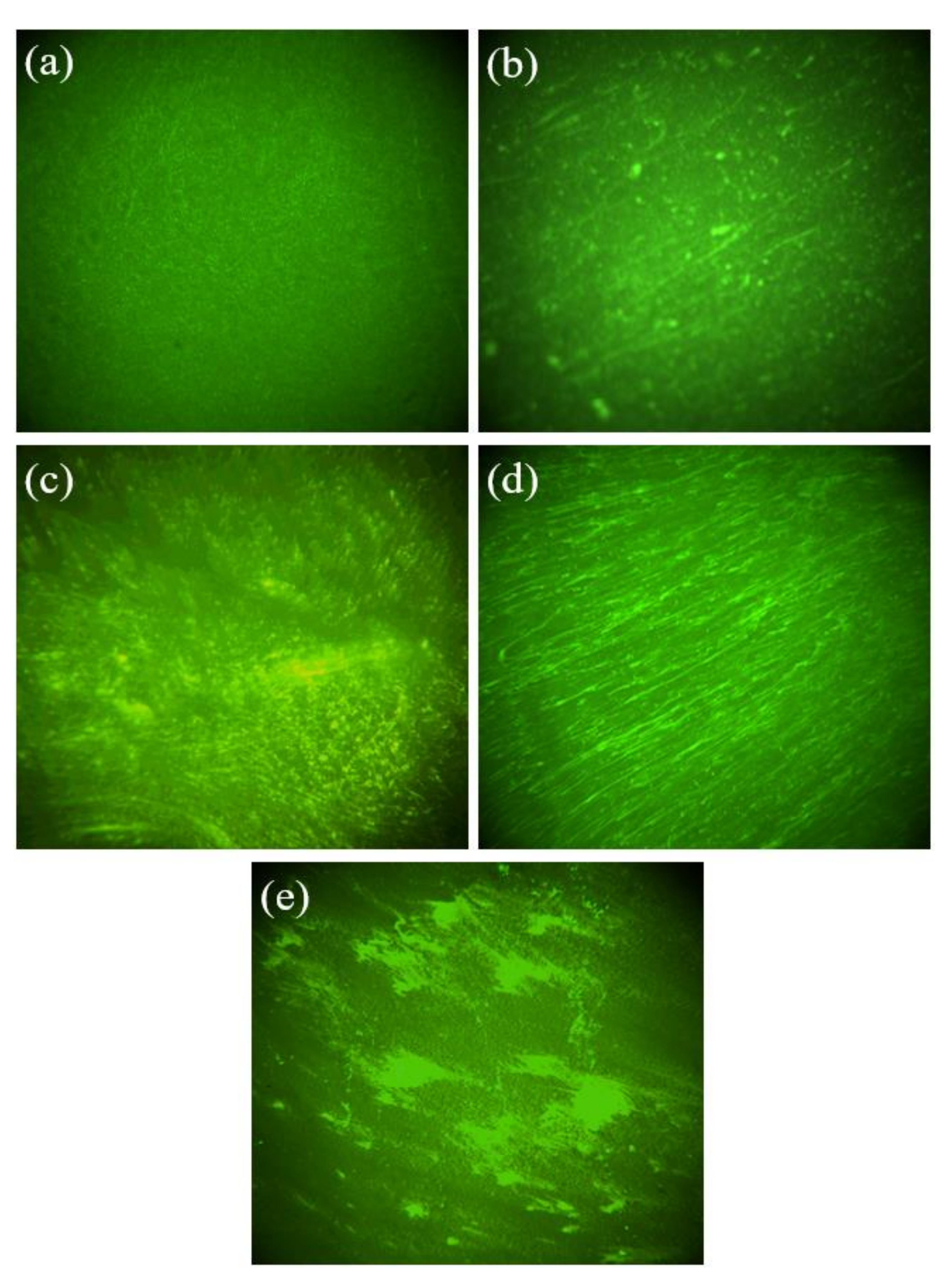 Sustainability 13 12772 g010