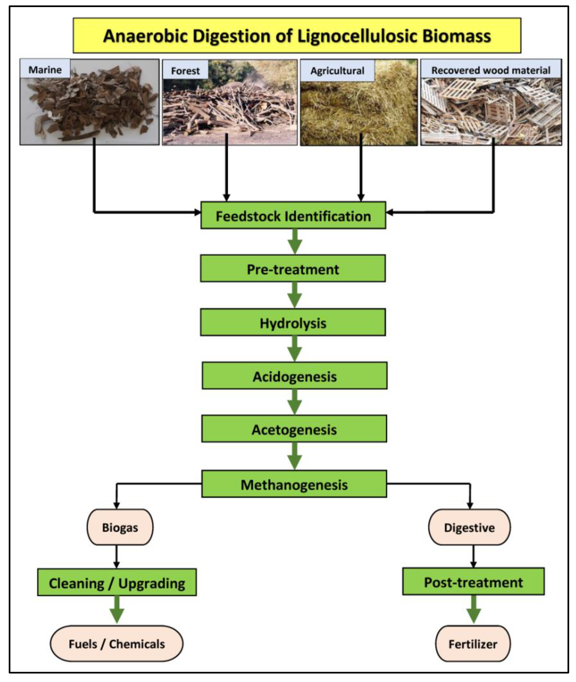 Sustainability 13 12810 g001