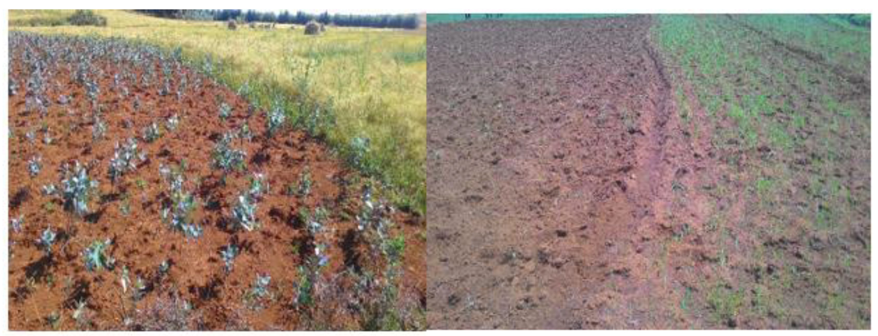 Sustainability 13 12819 g004