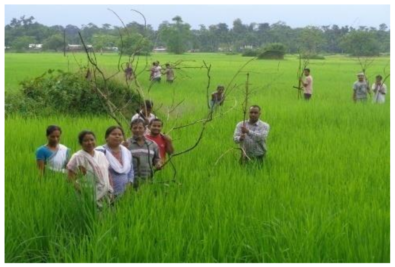 Sustainability 13 12824 g004