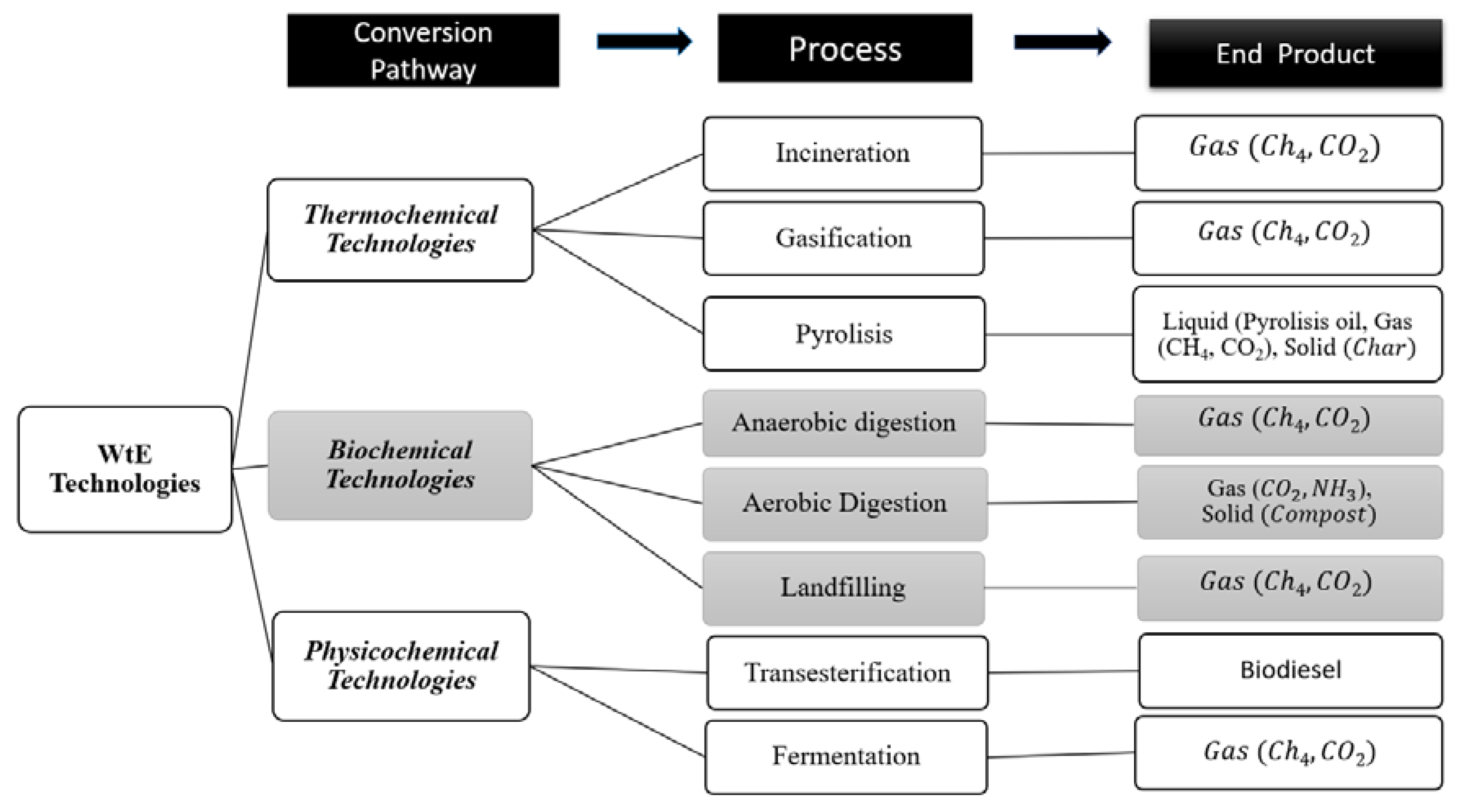 Sustainability 13 12863 g001