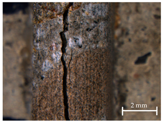 Sustainability 13 12948 i003