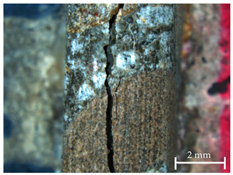 Sustainability 13 12948 i004