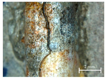 Sustainability 13 12948 i006