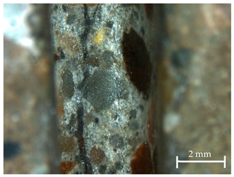 Sustainability 13 12948 i008