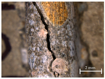 Sustainability 13 12948 i009