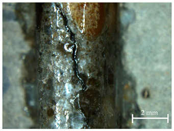 Sustainability 13 12948 i010