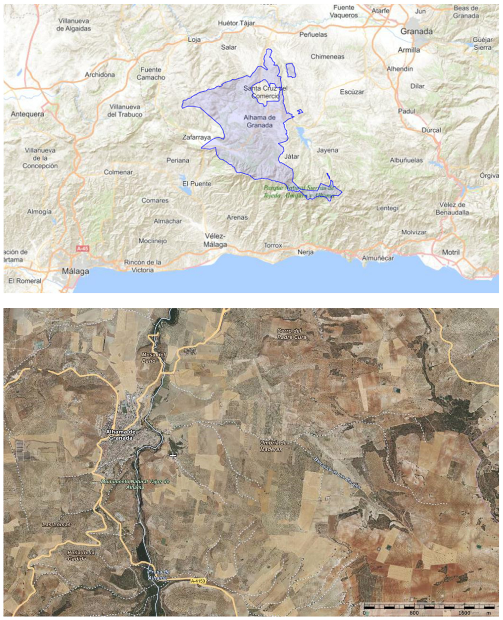 Sustainability 13 12964 g002