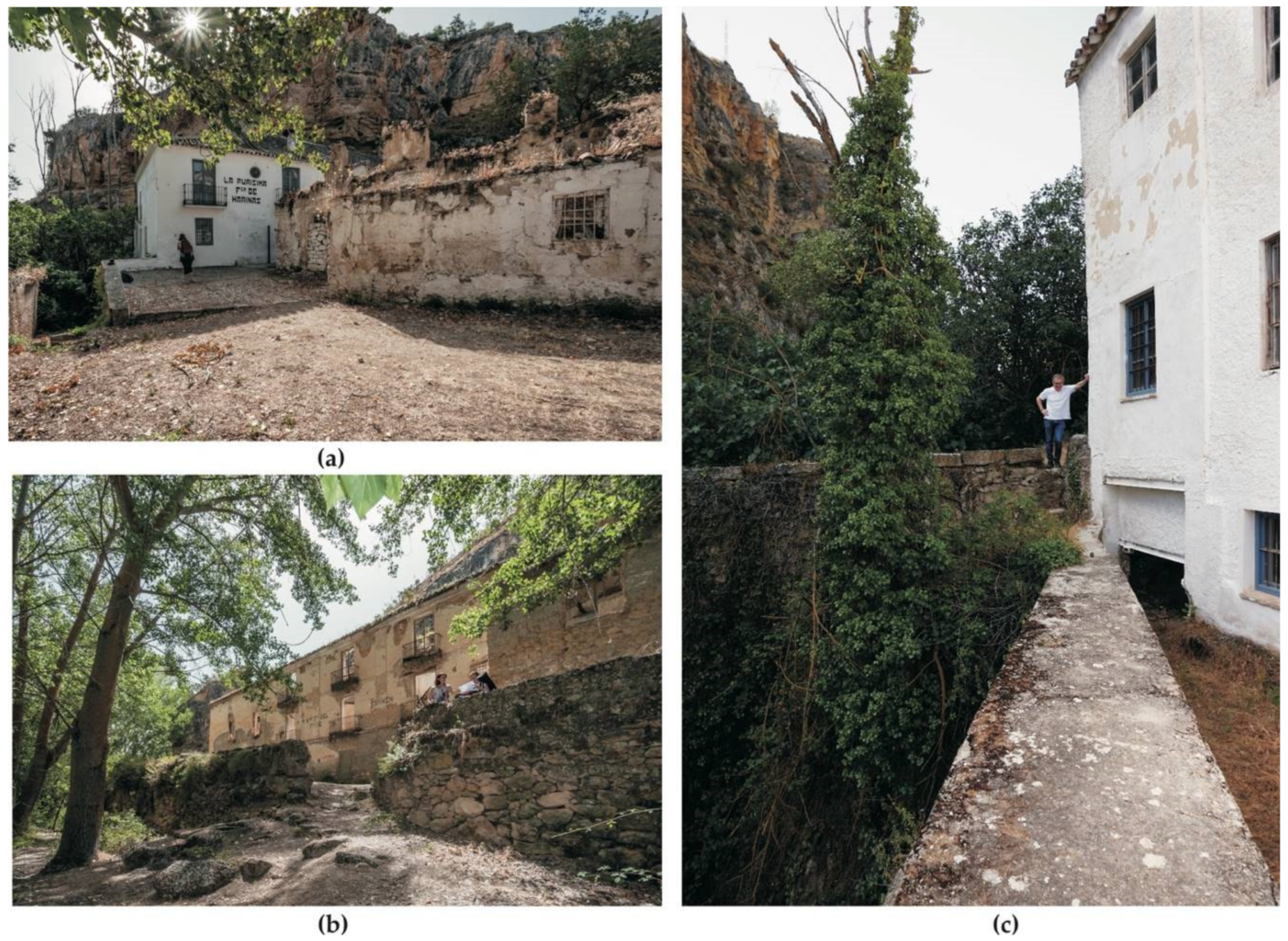 Sustainability 13 12964 g005