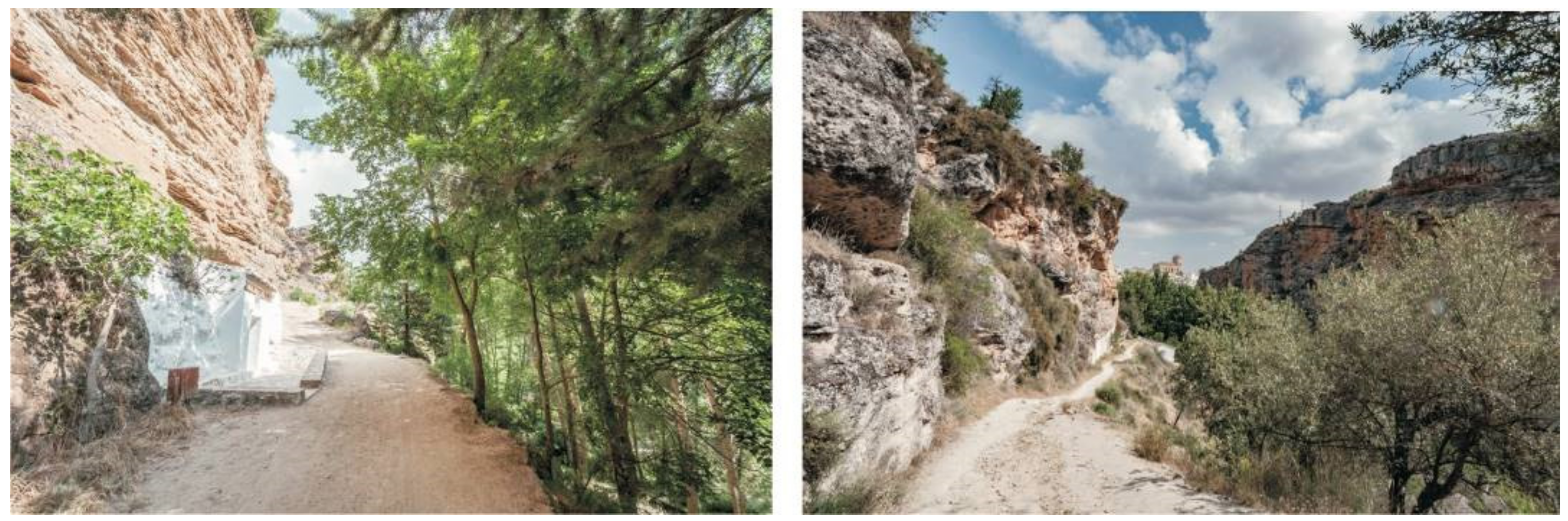 Sustainability 13 12964 g017