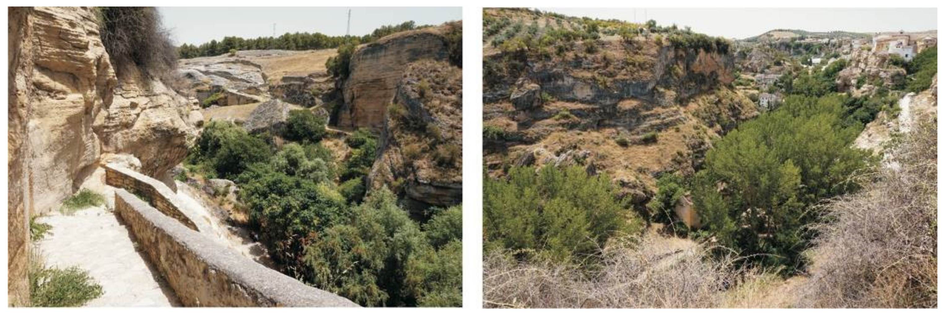 Sustainability 13 12964 g018