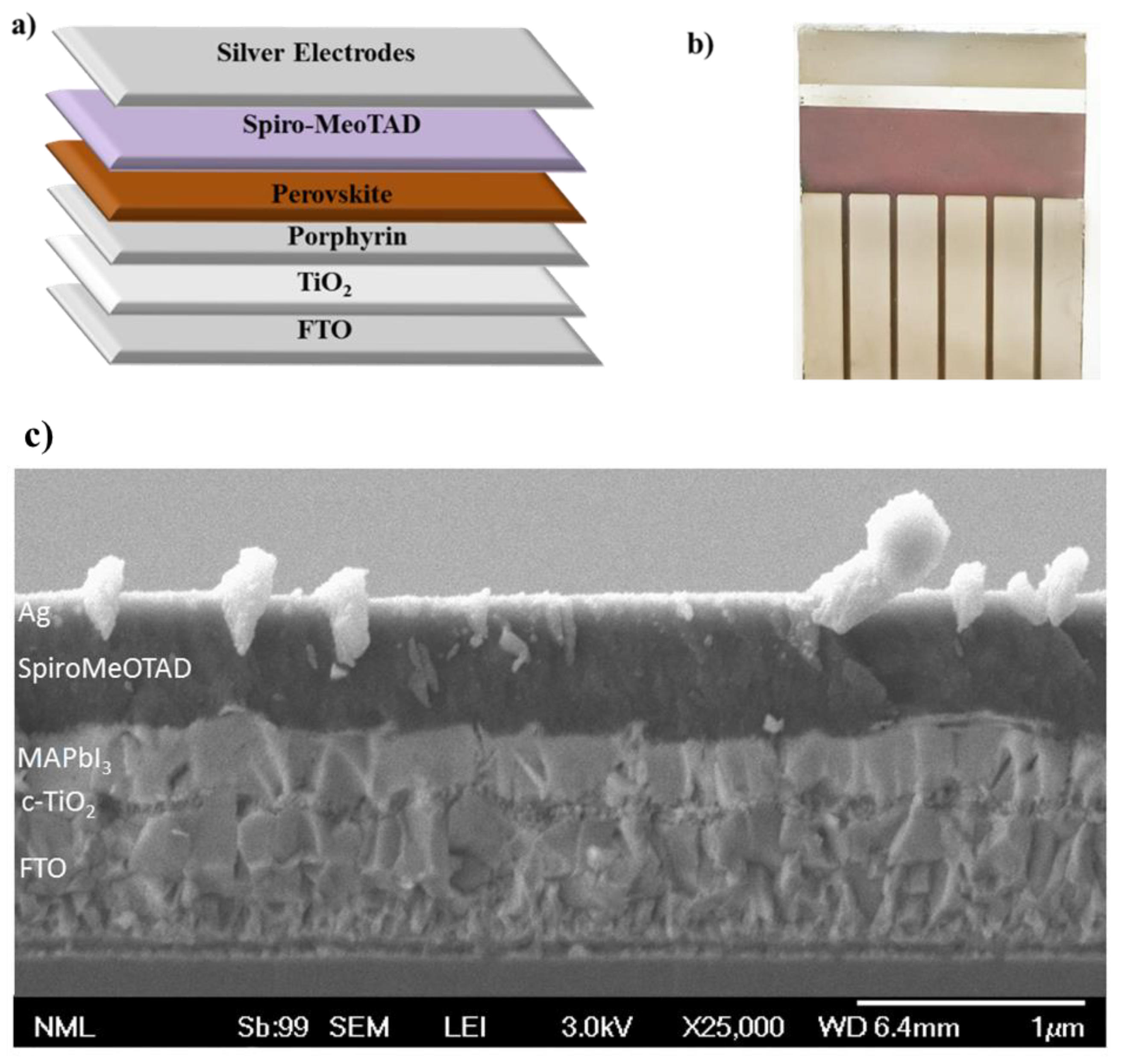 Sustainability 13 12969 g001