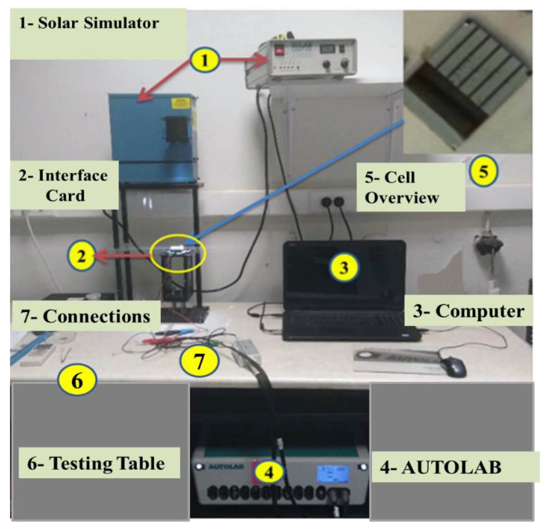 Sustainability 13 12969 g002