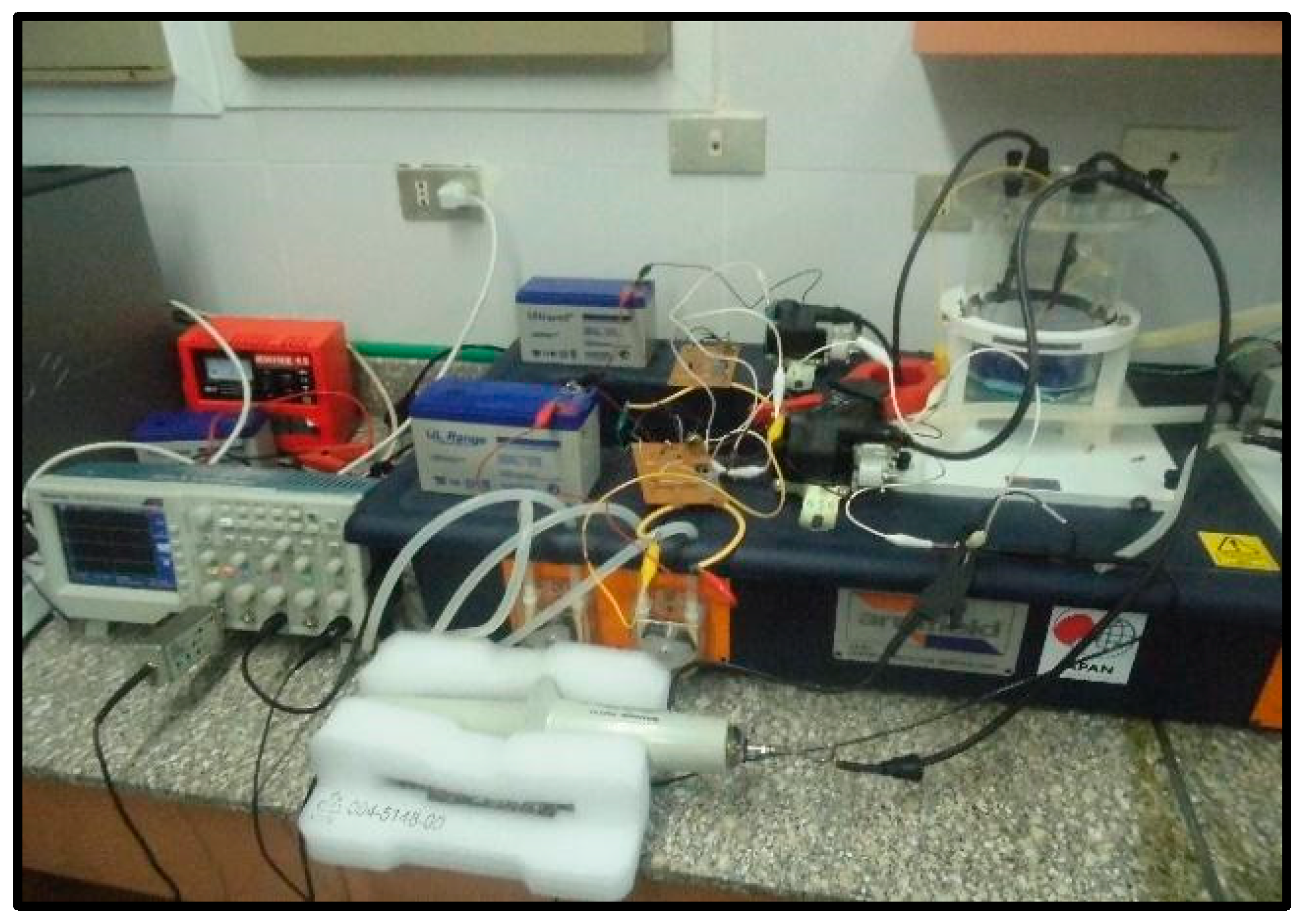 Sustainability 13 12971 g002