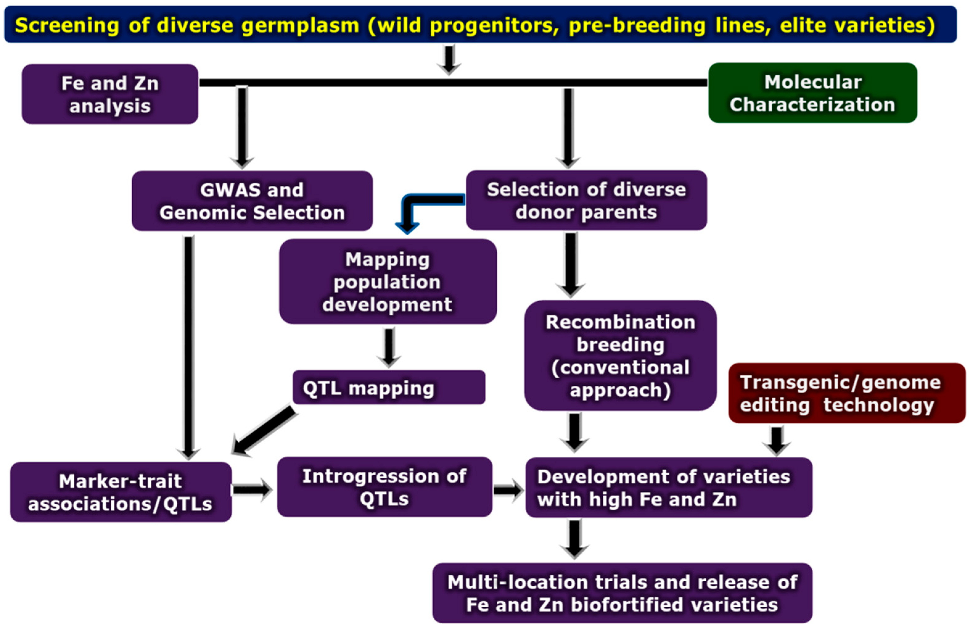 Sustainability 13 12975 g002
