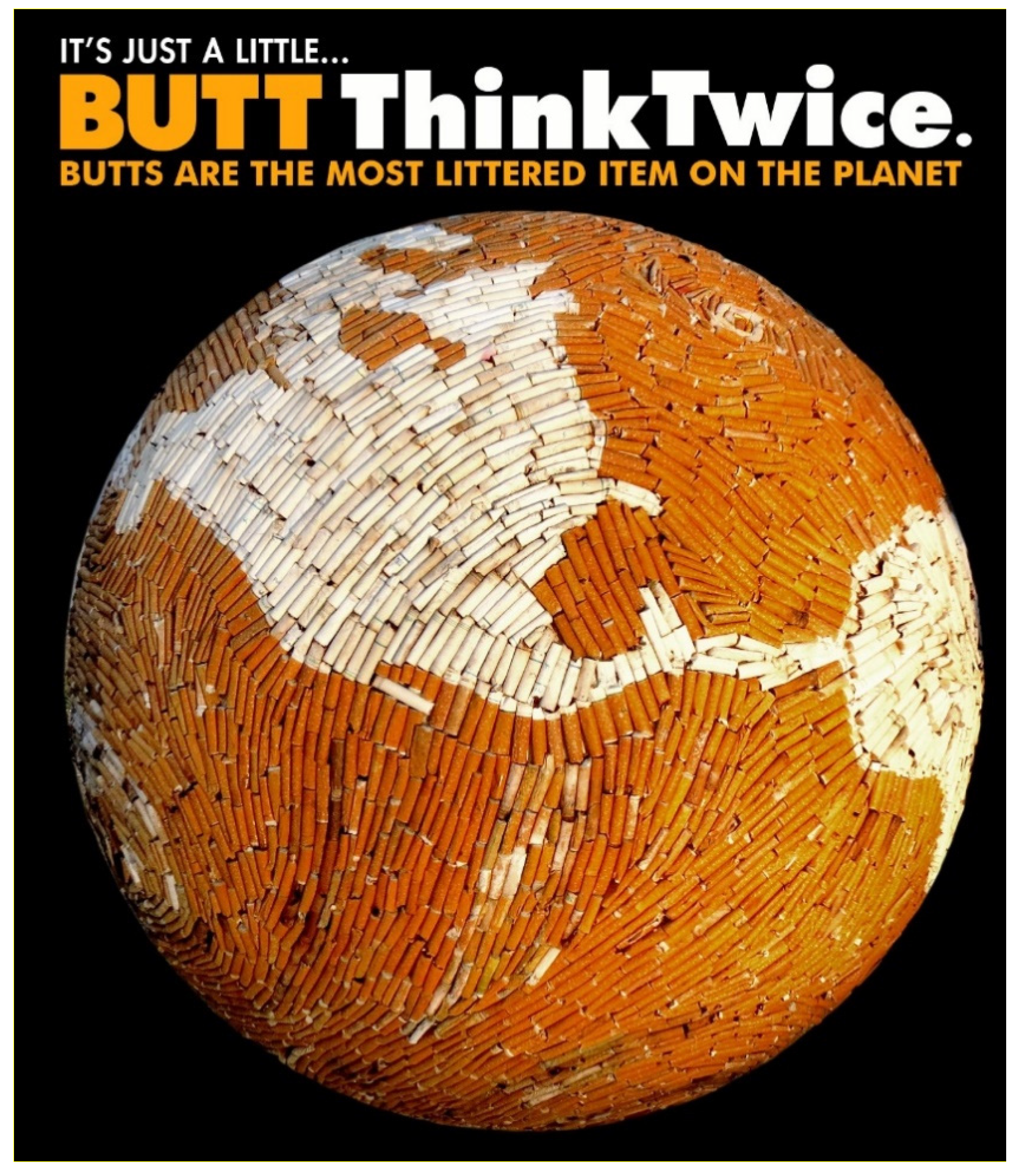 Sustainability 13 12994 g001