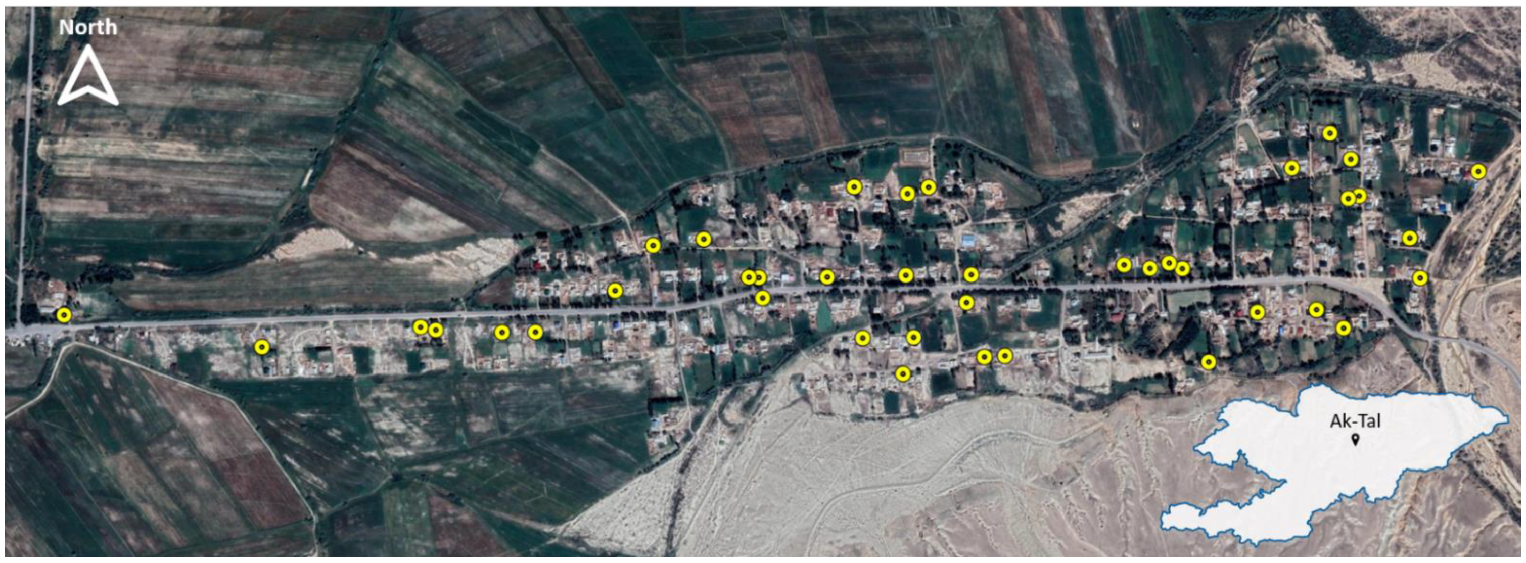 Sustainability 13 13086 g003