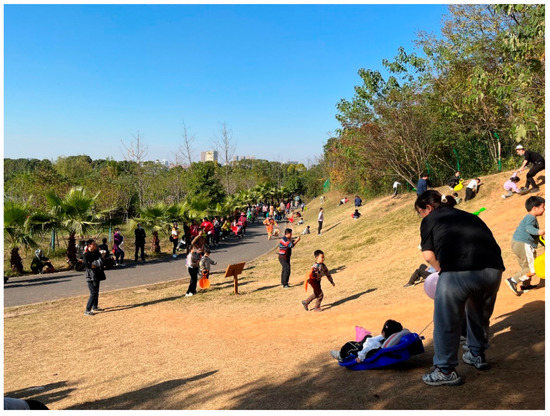 Sustainability 13 13100 g0a2