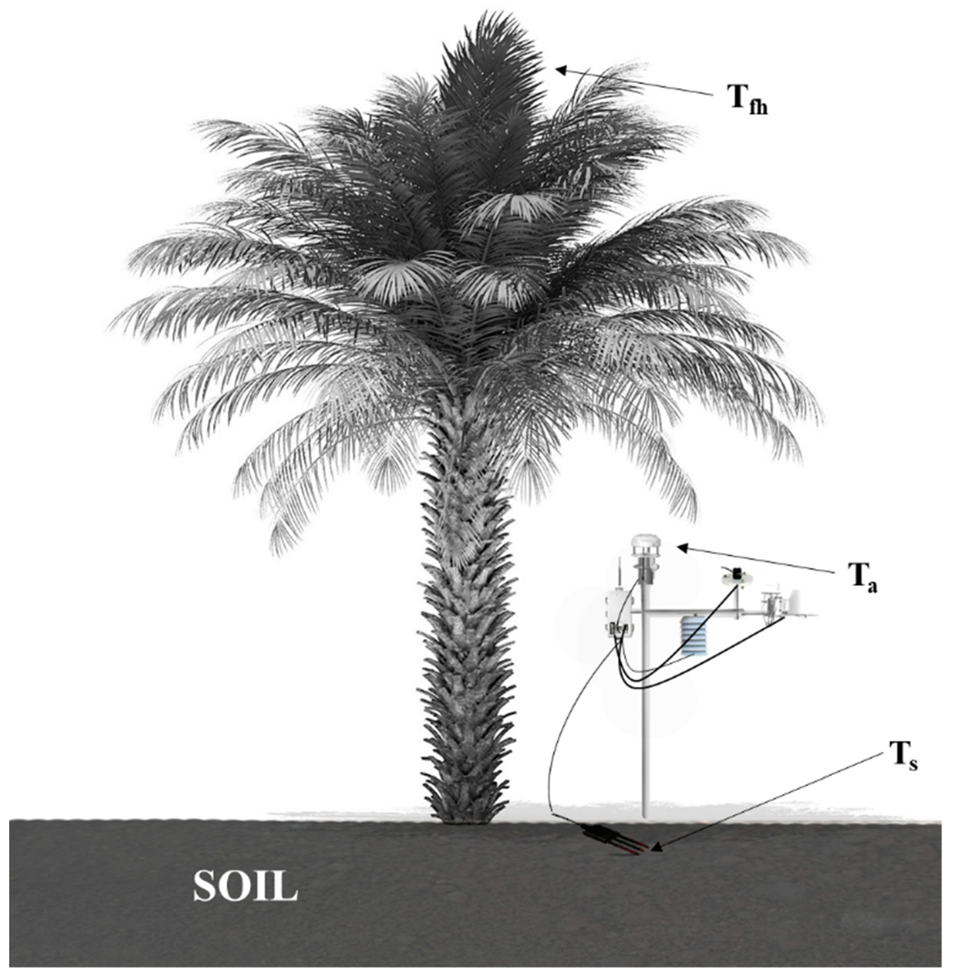 Sustainability 13 13111 g003