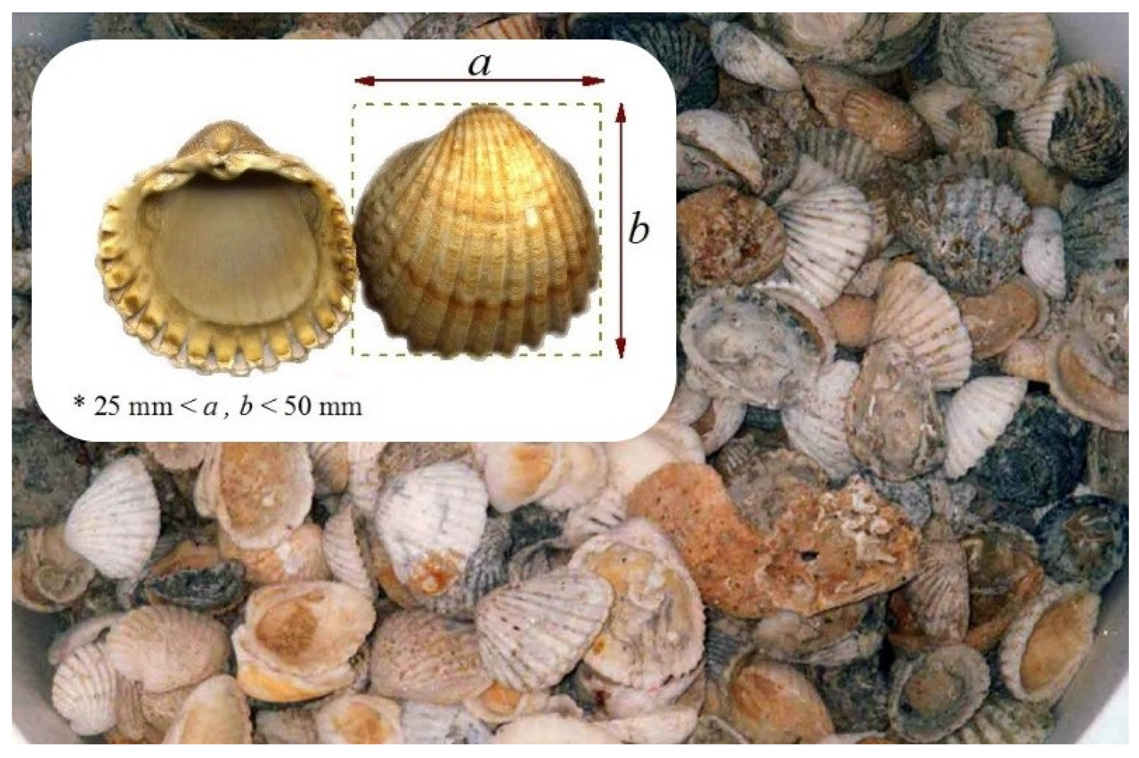 Sustainability 13 13120 g001