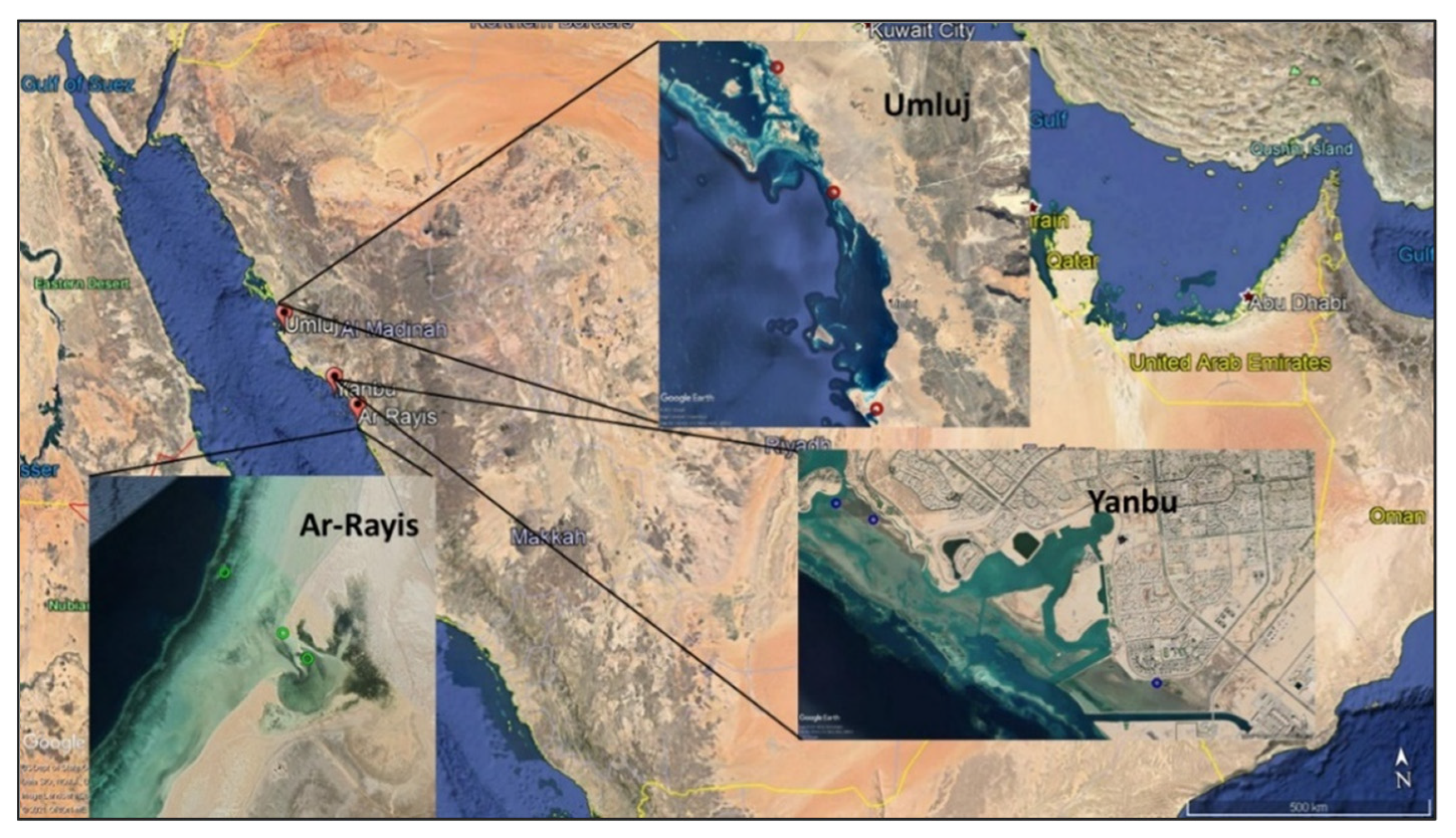 Sustainability 13 13149 g002