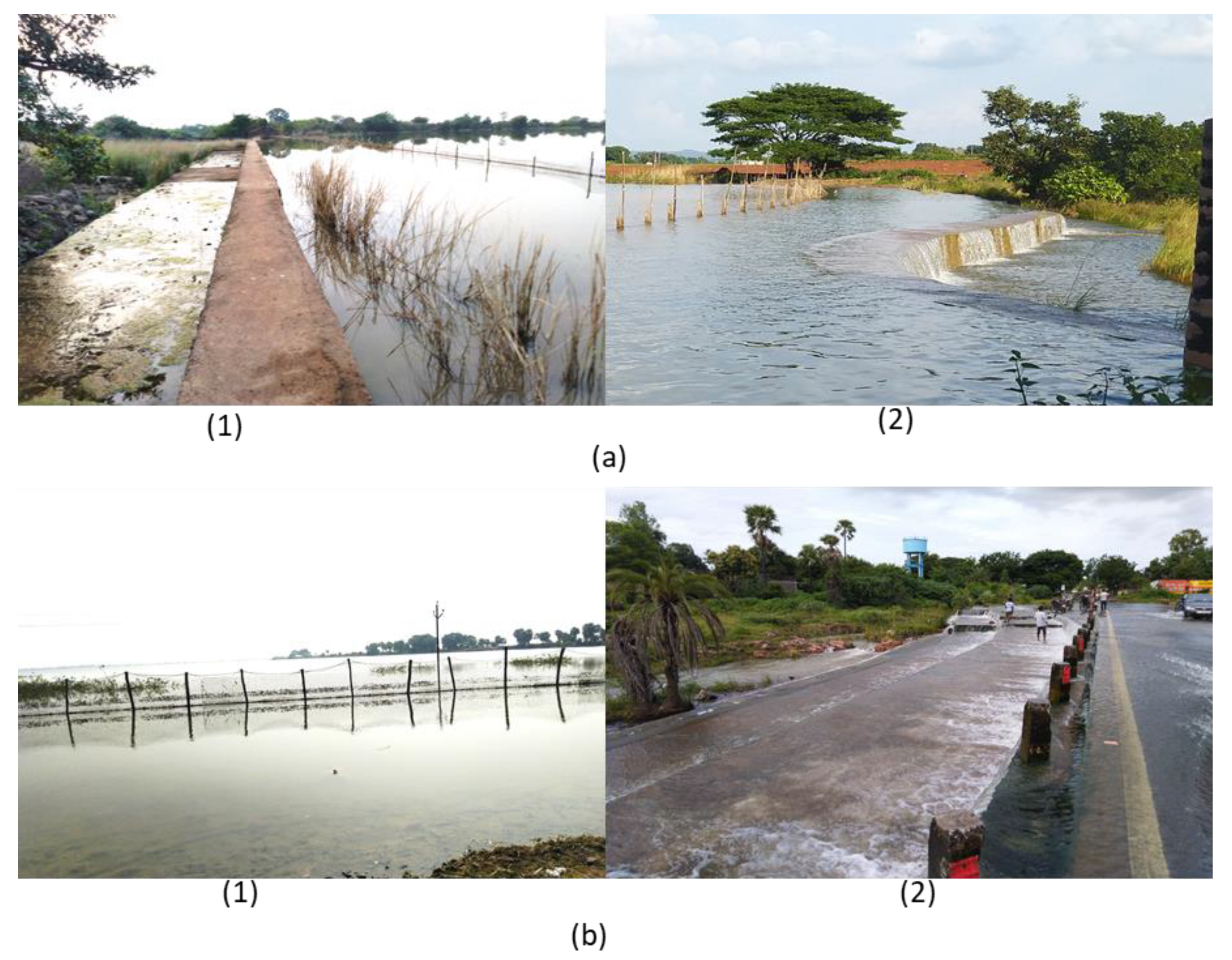 Sustainability 13 13158 g002