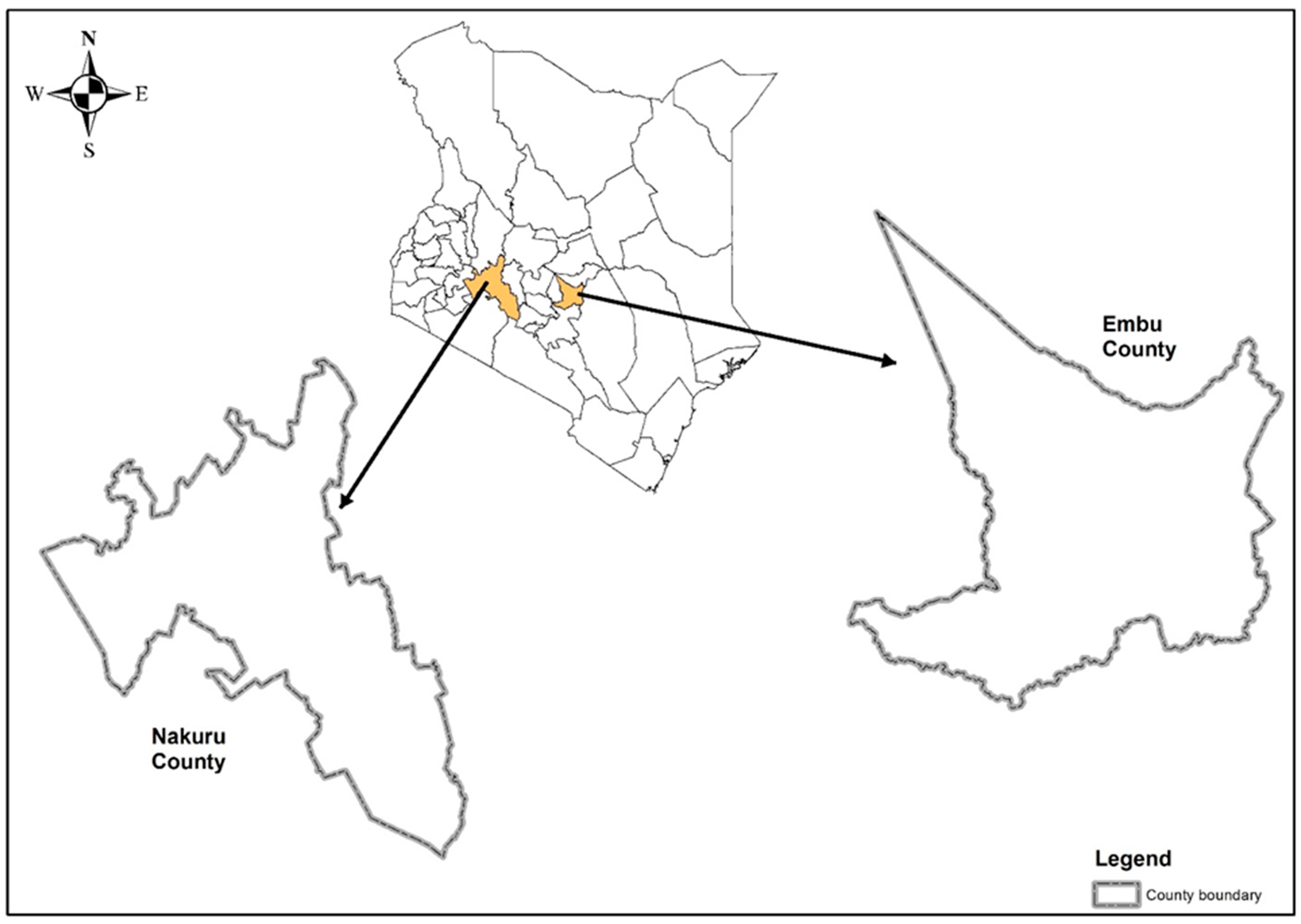Sustainability 13 13164 g001