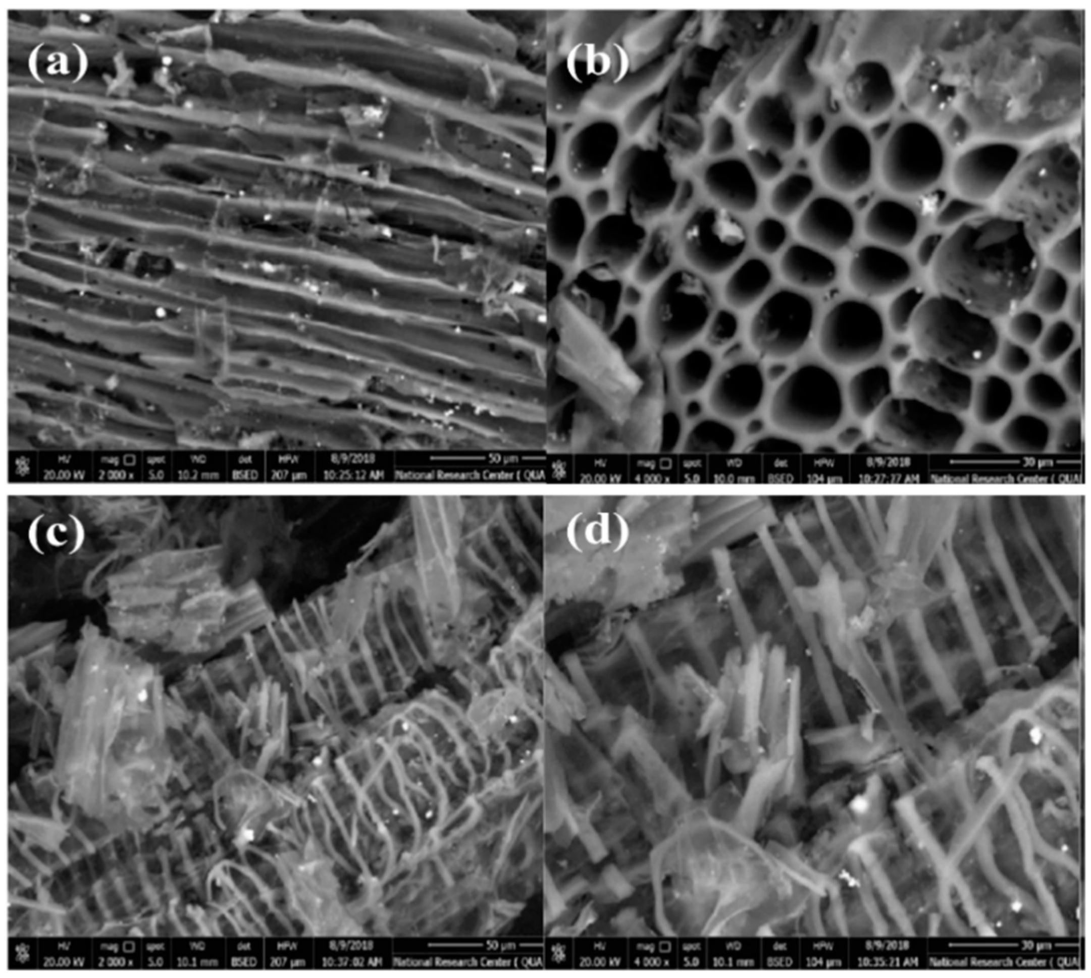 Sustainability 13 13173 g001