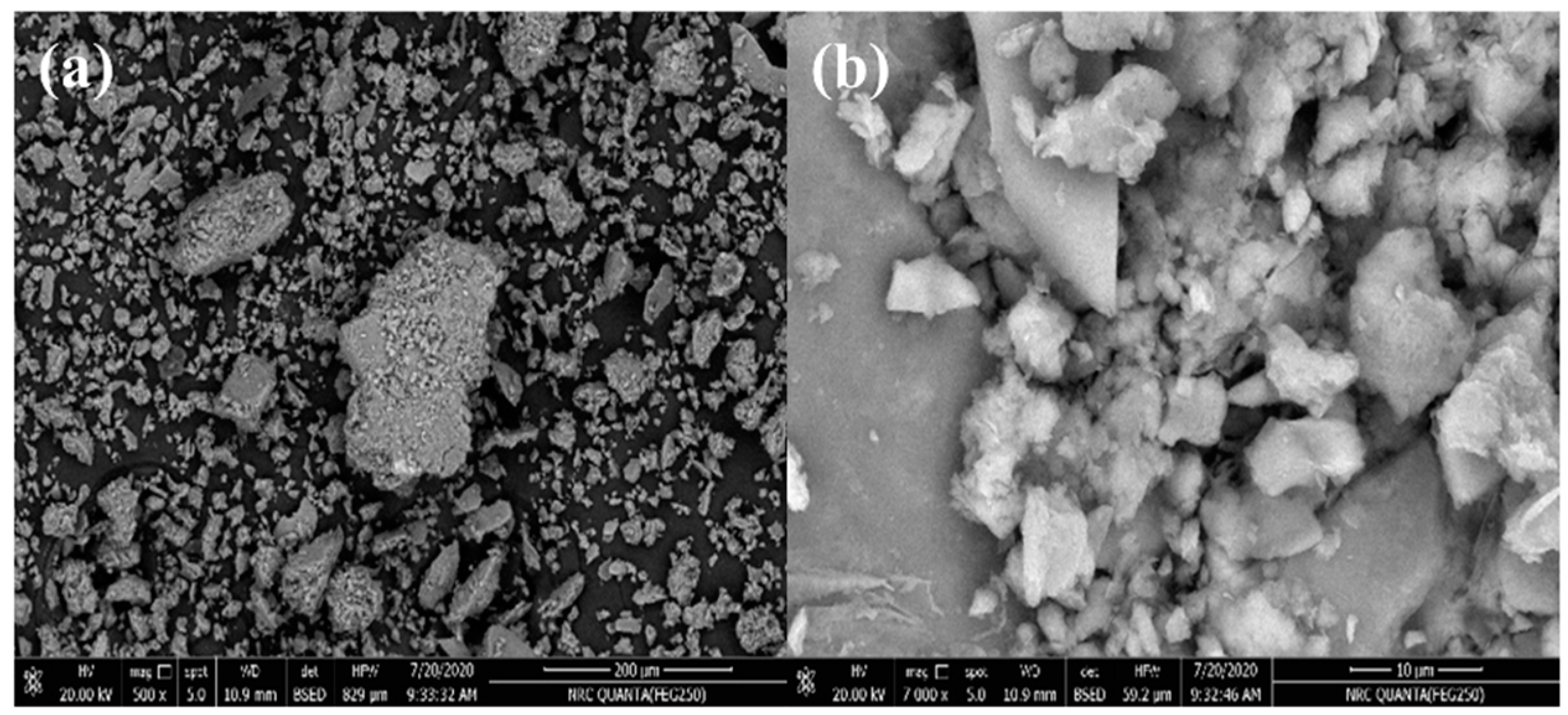 Sustainability 13 13173 g004