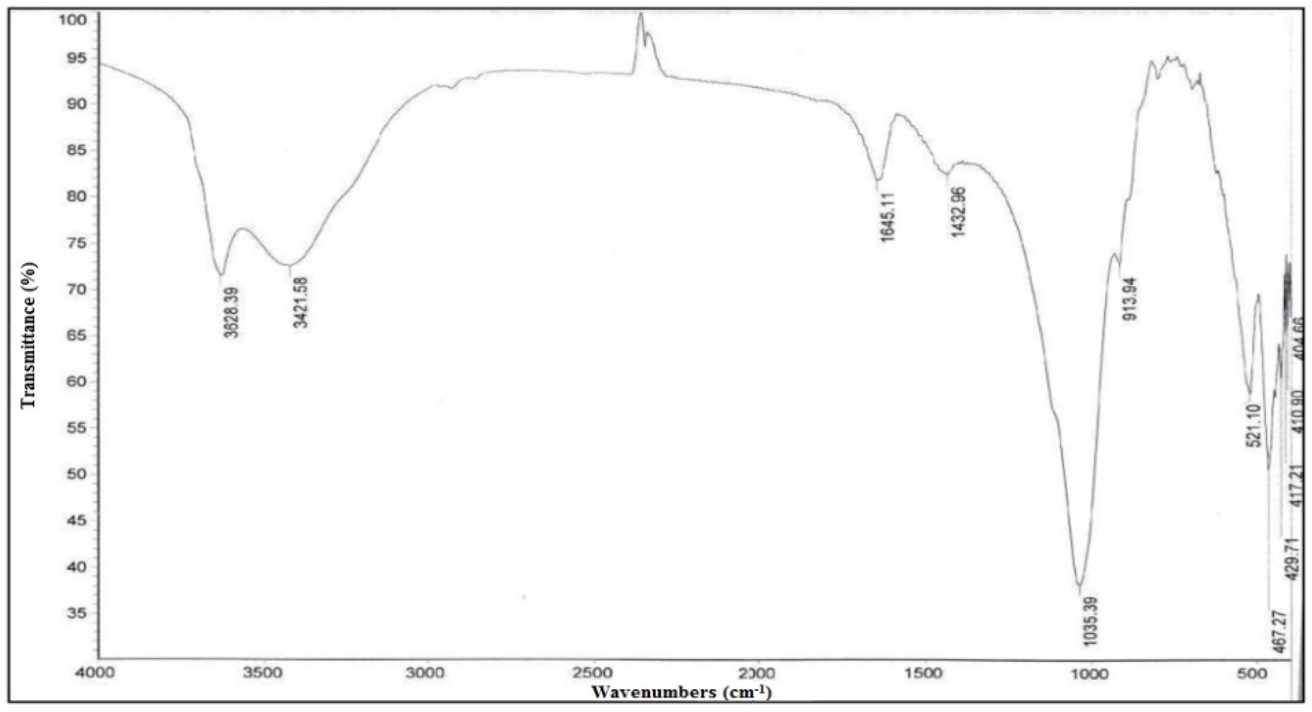 Sustainability 13 13173 g005