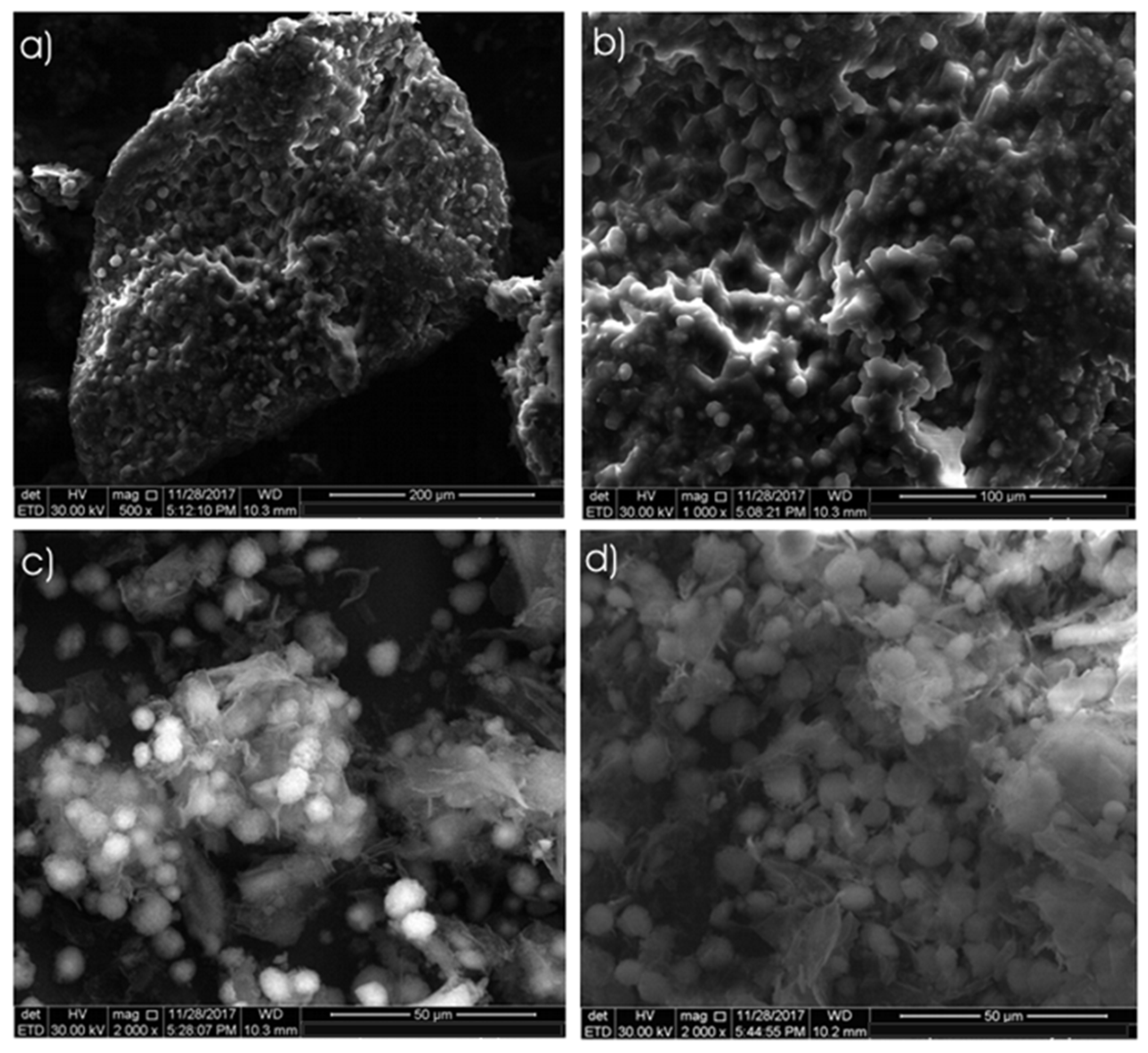 Sustainability 13 13193 g003