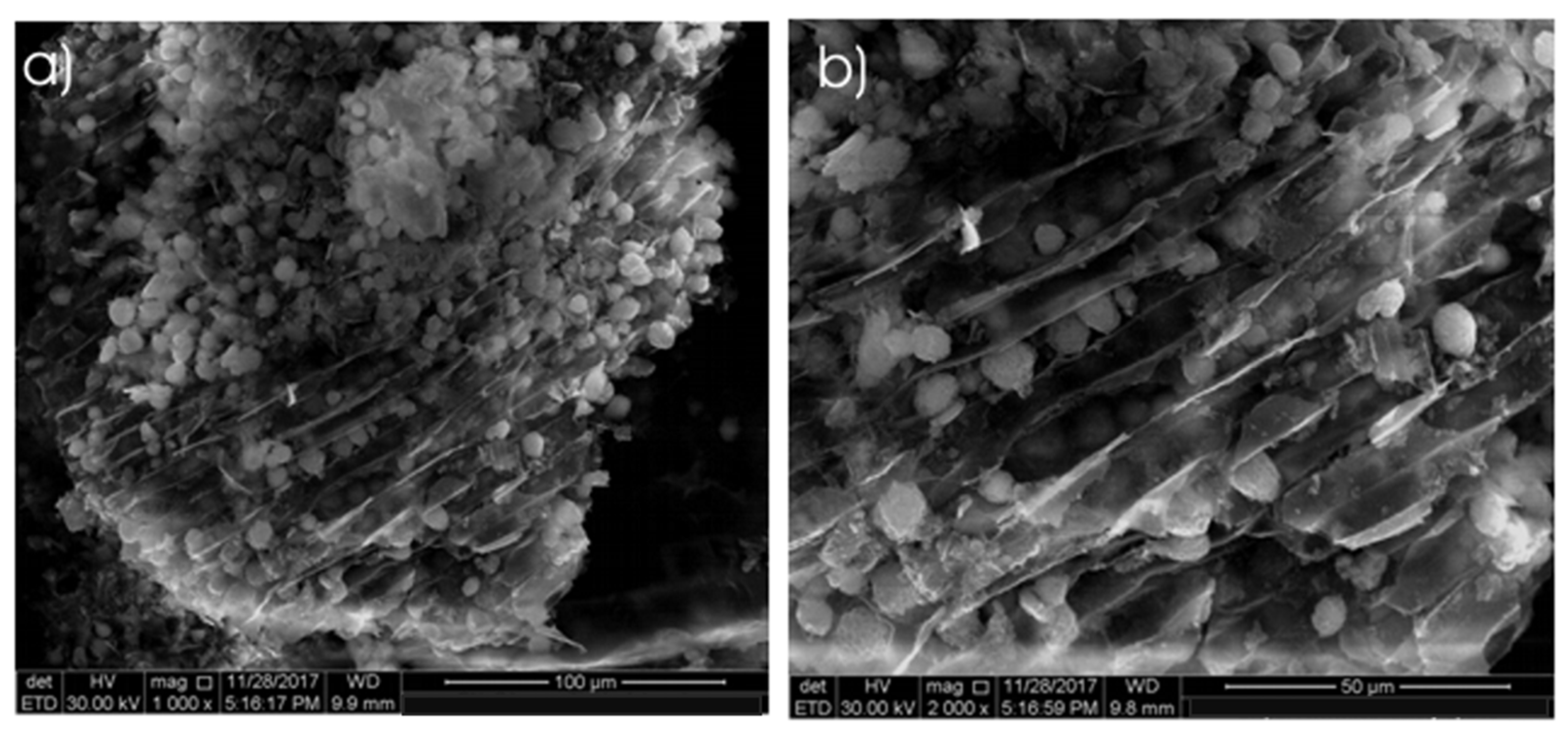 Sustainability 13 13193 g005