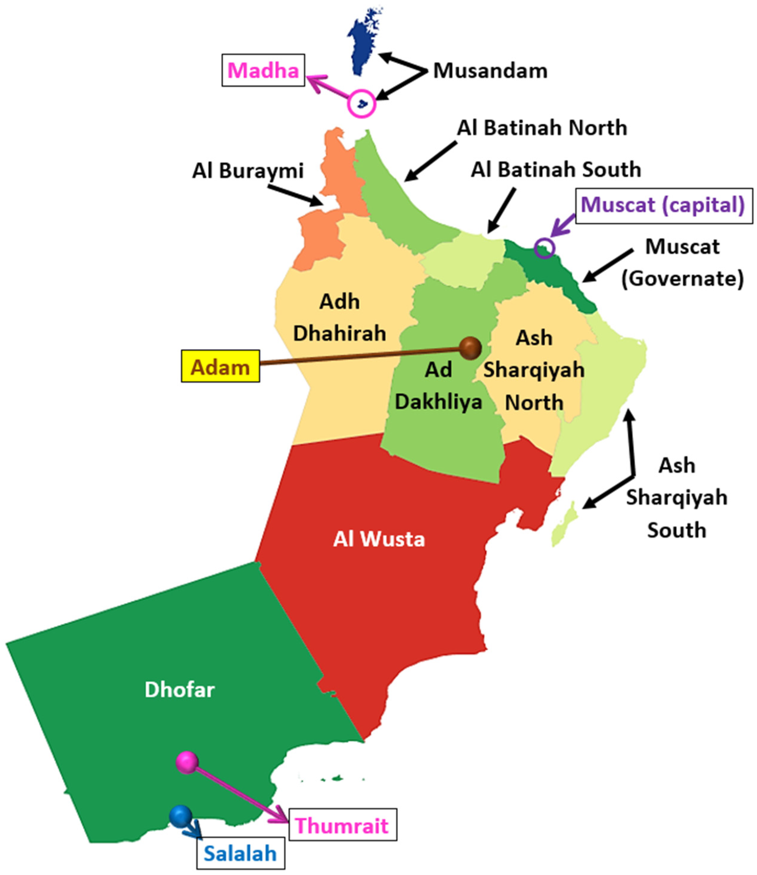 Sustainability 13 13209 g001