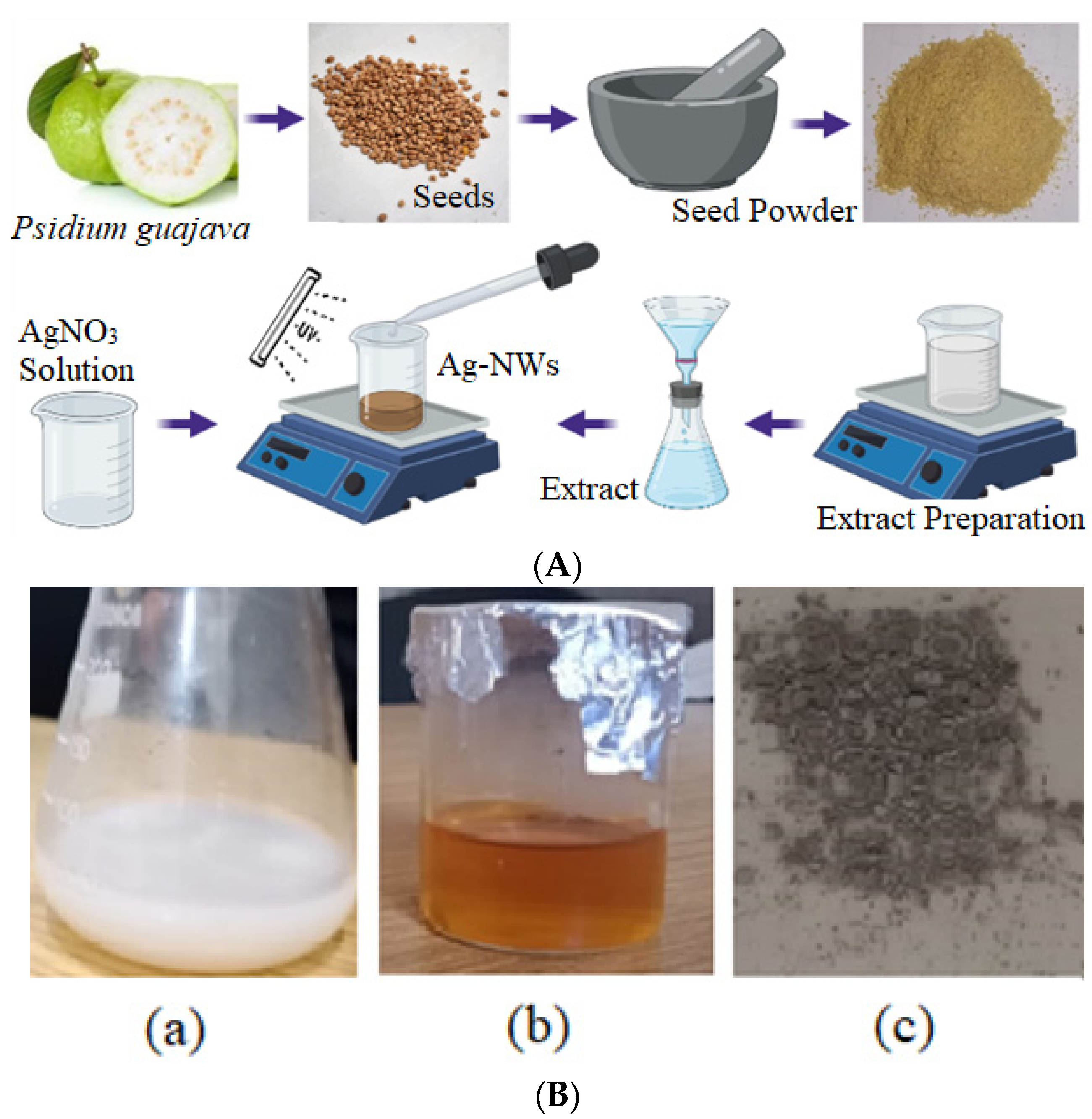 Sustainability 13 13220 g001