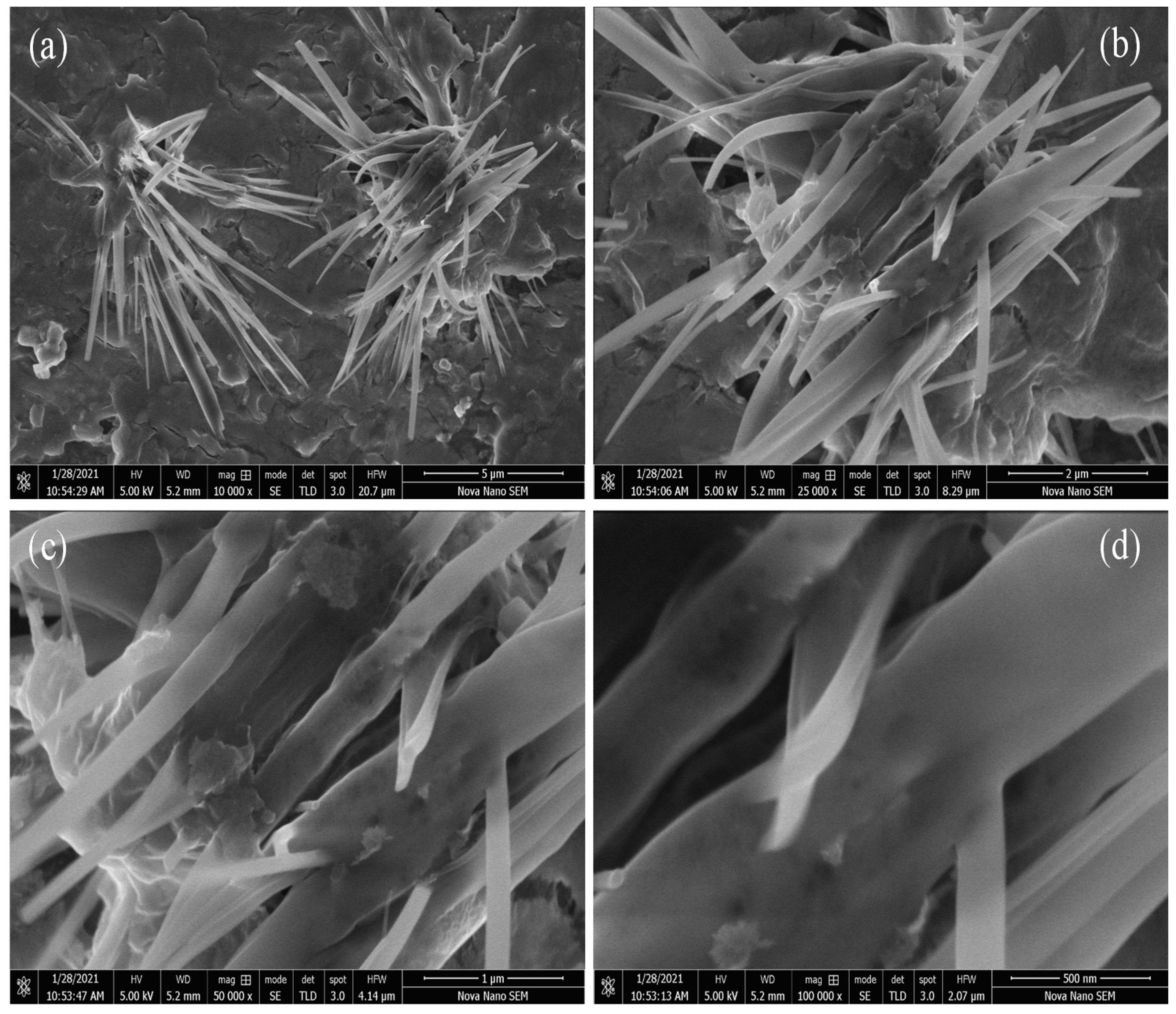 Sustainability 13 13220 g004