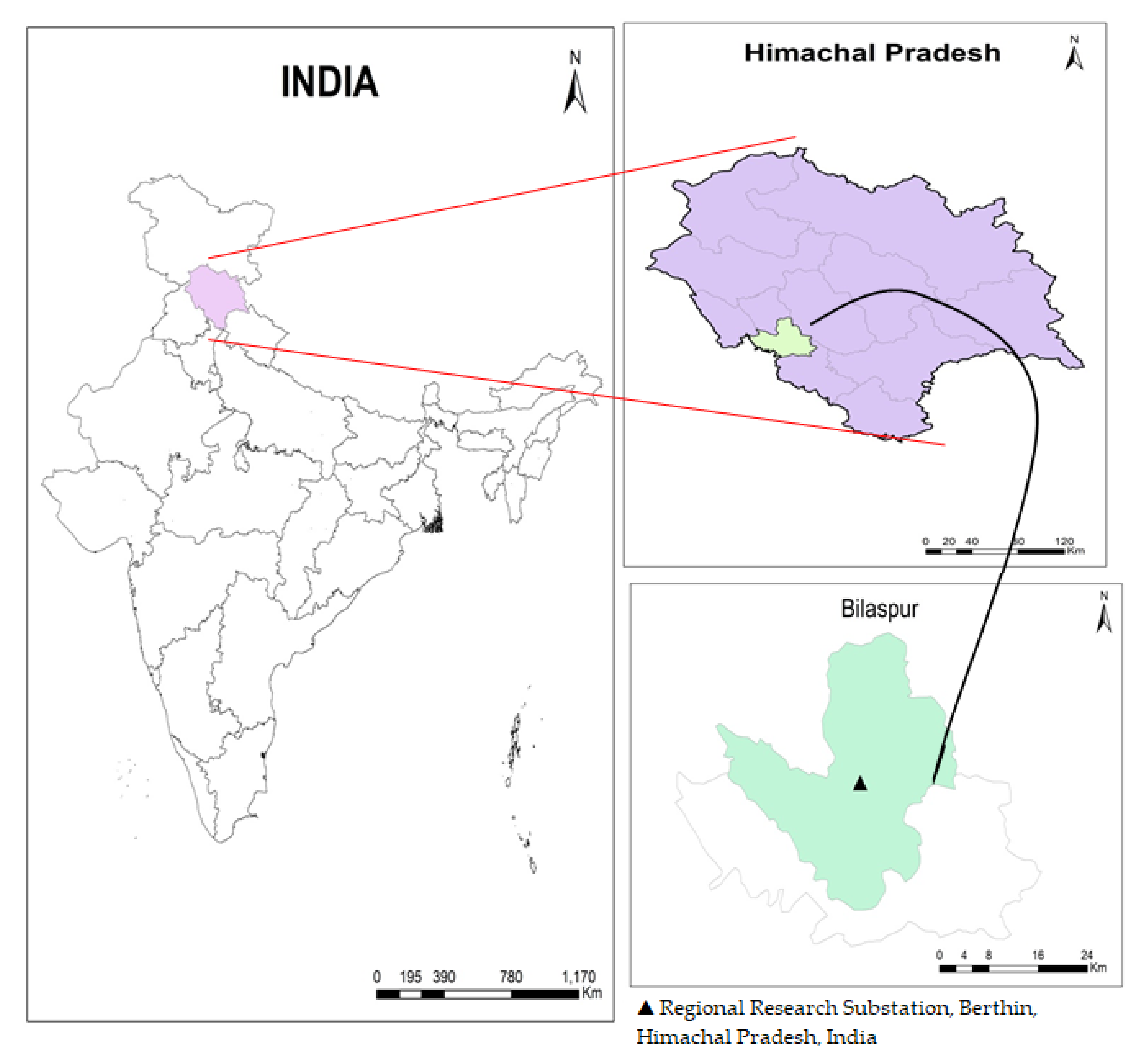 Sustainability 13 13239 g001
