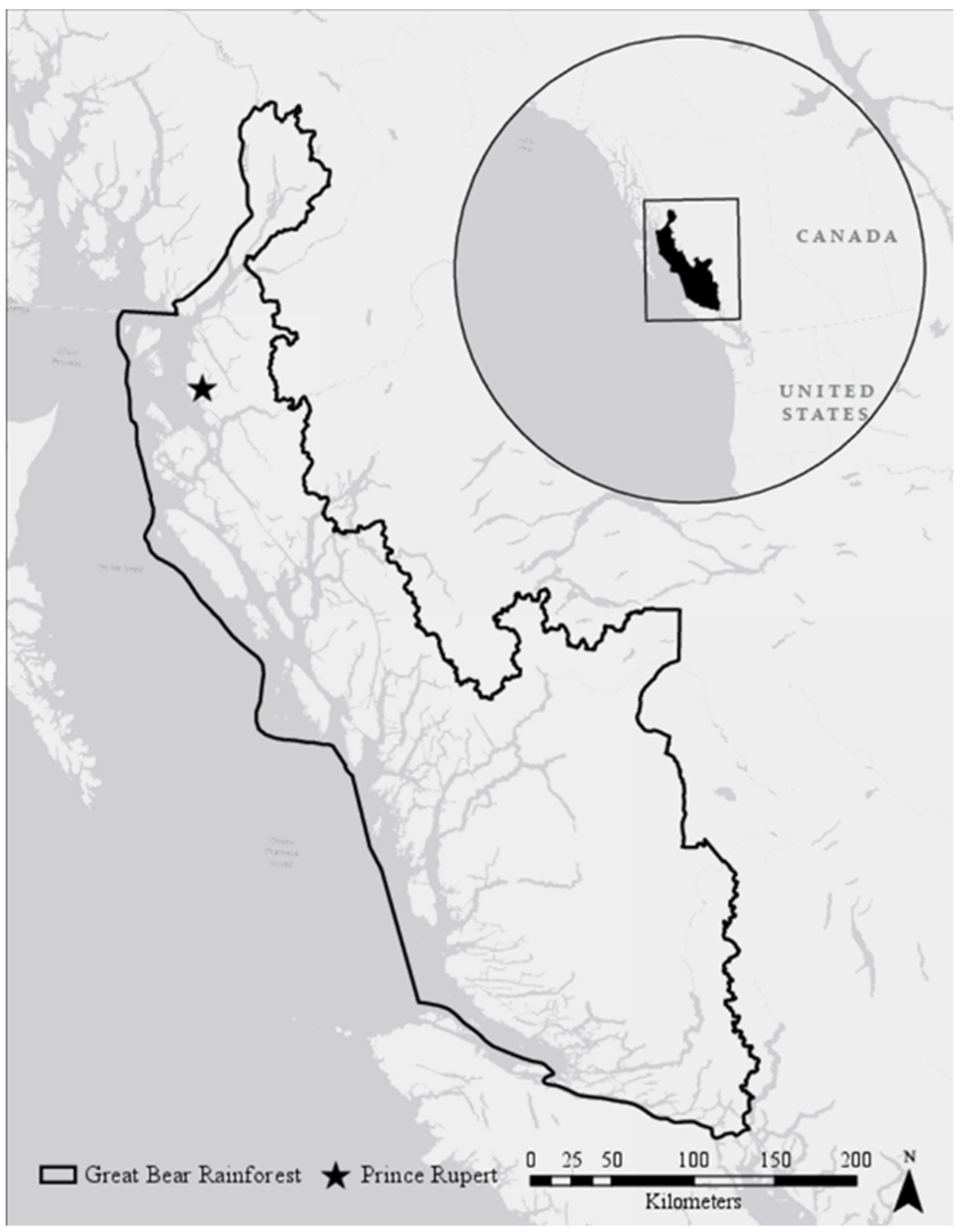 Sustainability 13 13270 g001