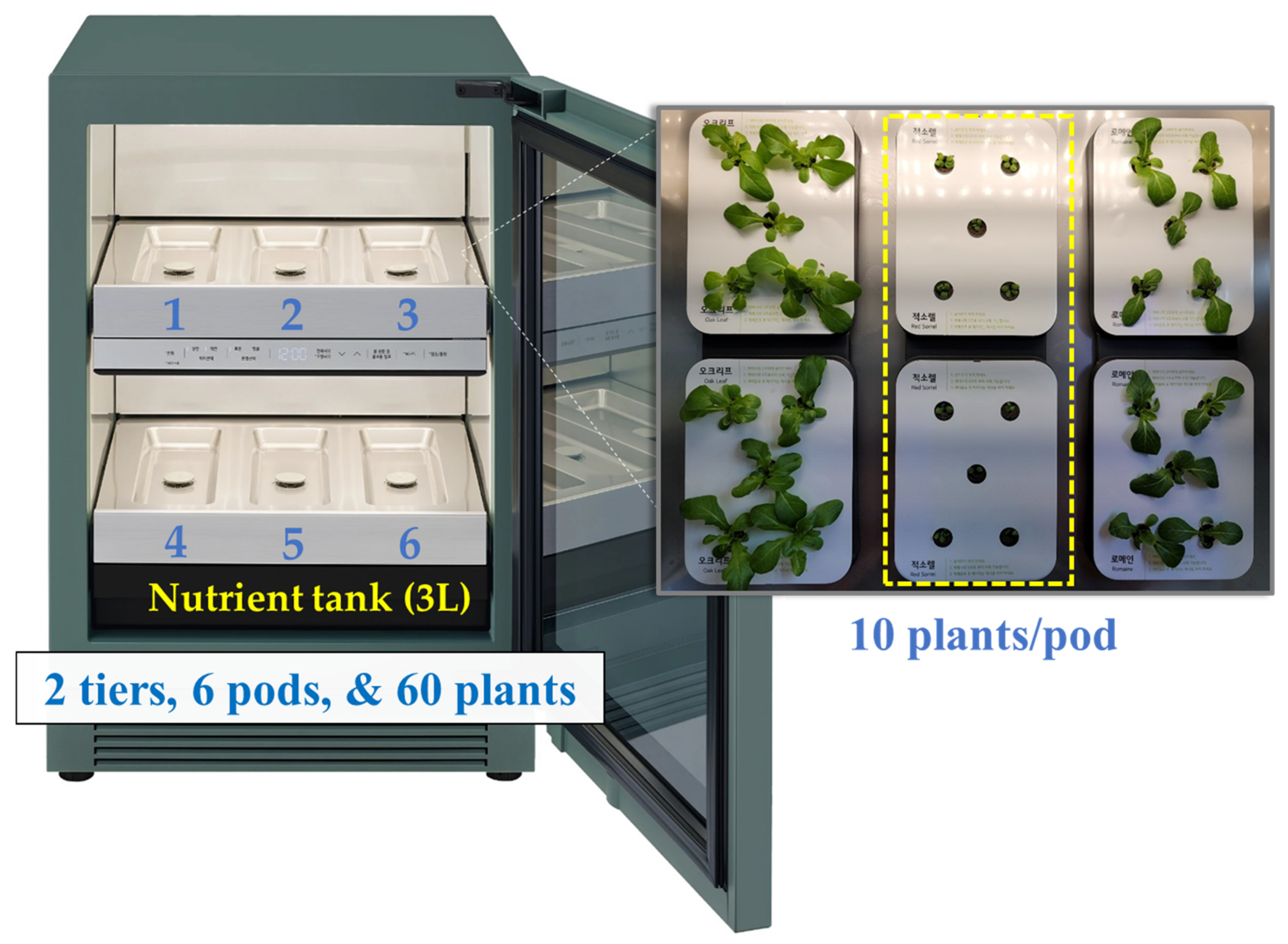 Sustainability 13 13288 g001
